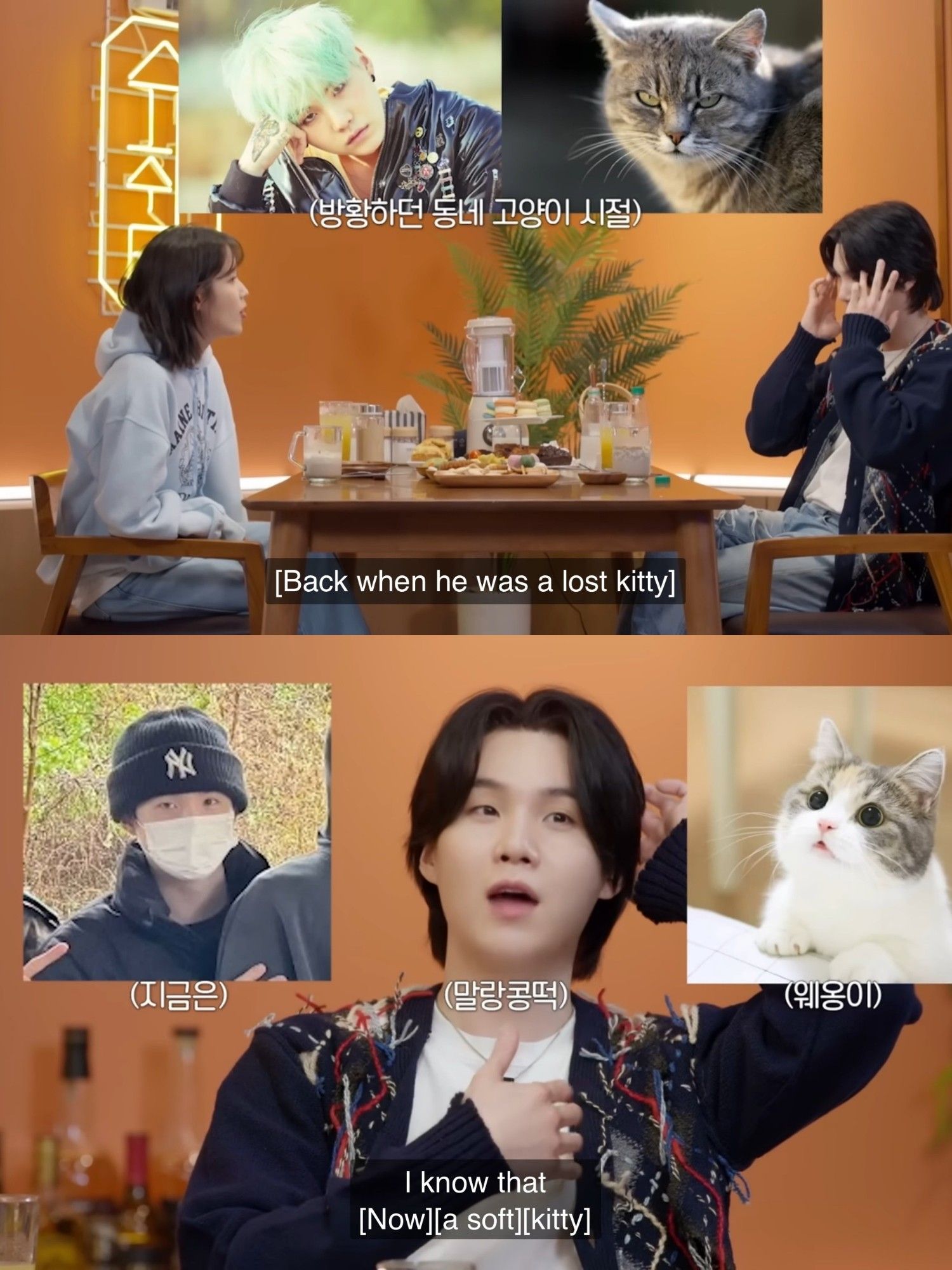 Yoongi on Suchwita, where he is compared to kitties.