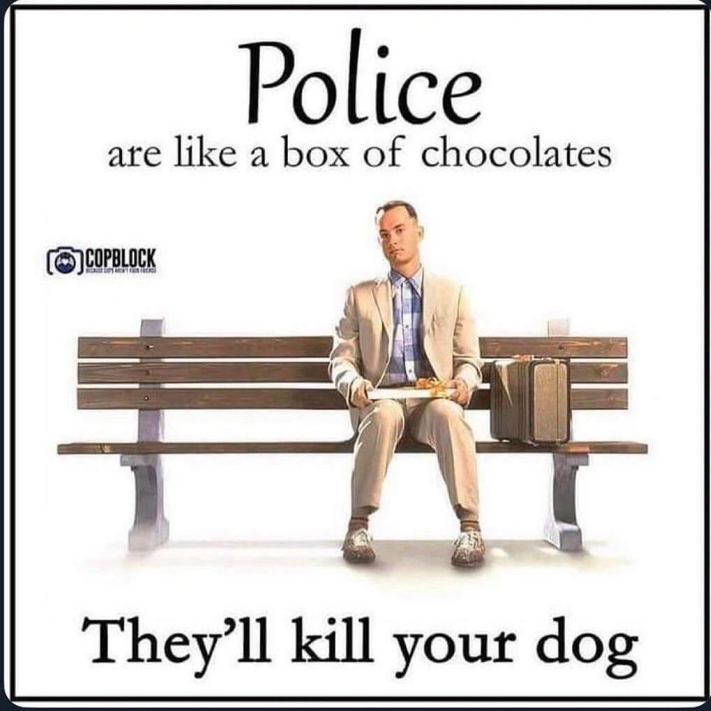 Meme: top text: police are like a box of chocolate
picture of forest gump in the middle
bottom text: they'll kill your dog