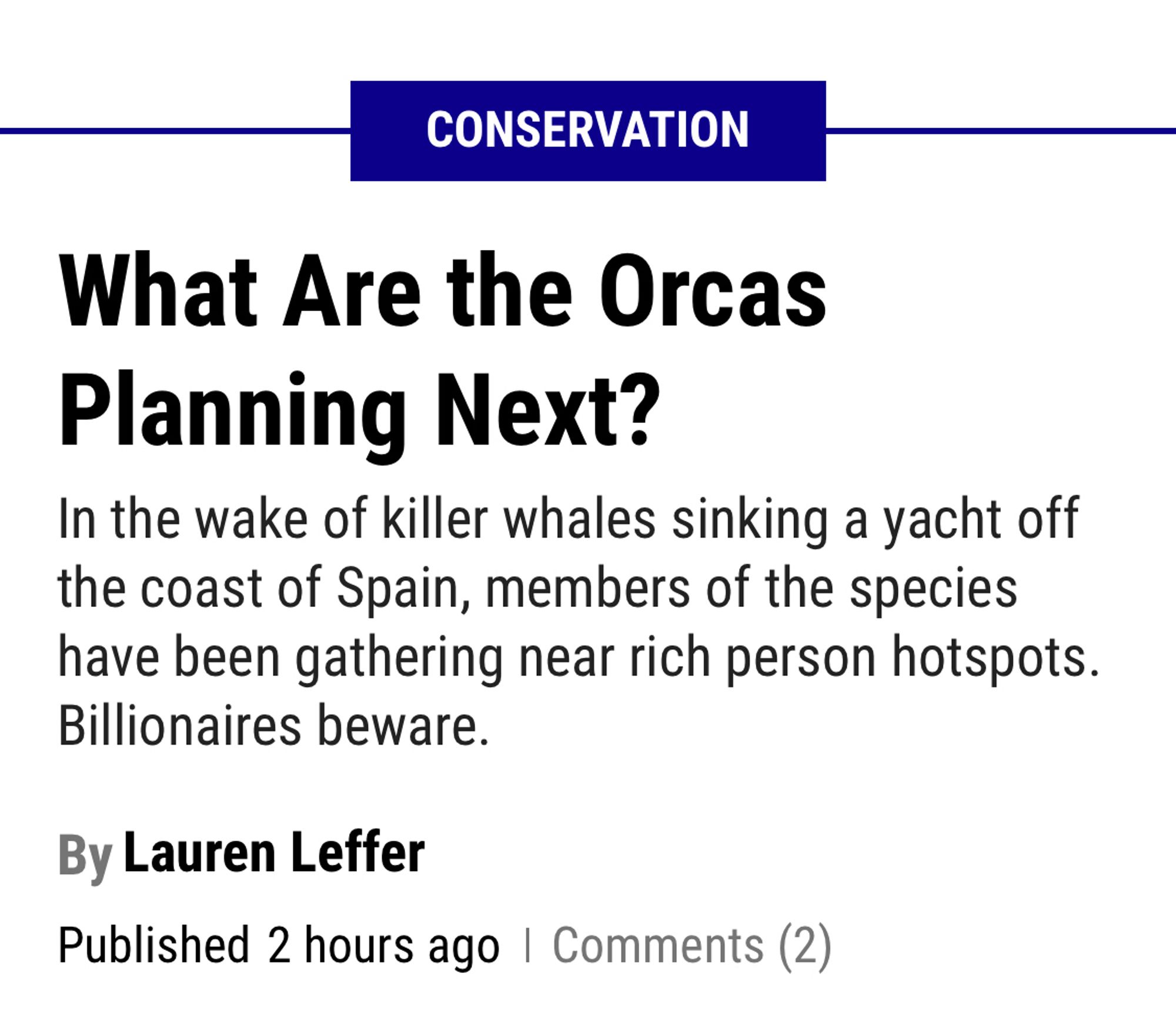 What Are the Orcas Planning Next?
In the wake of killer whales sinking a yacht off the coast of Spain, members of the species have been gathering near rich person hotspots. Billionaires beware.
By
Lauren Leffer