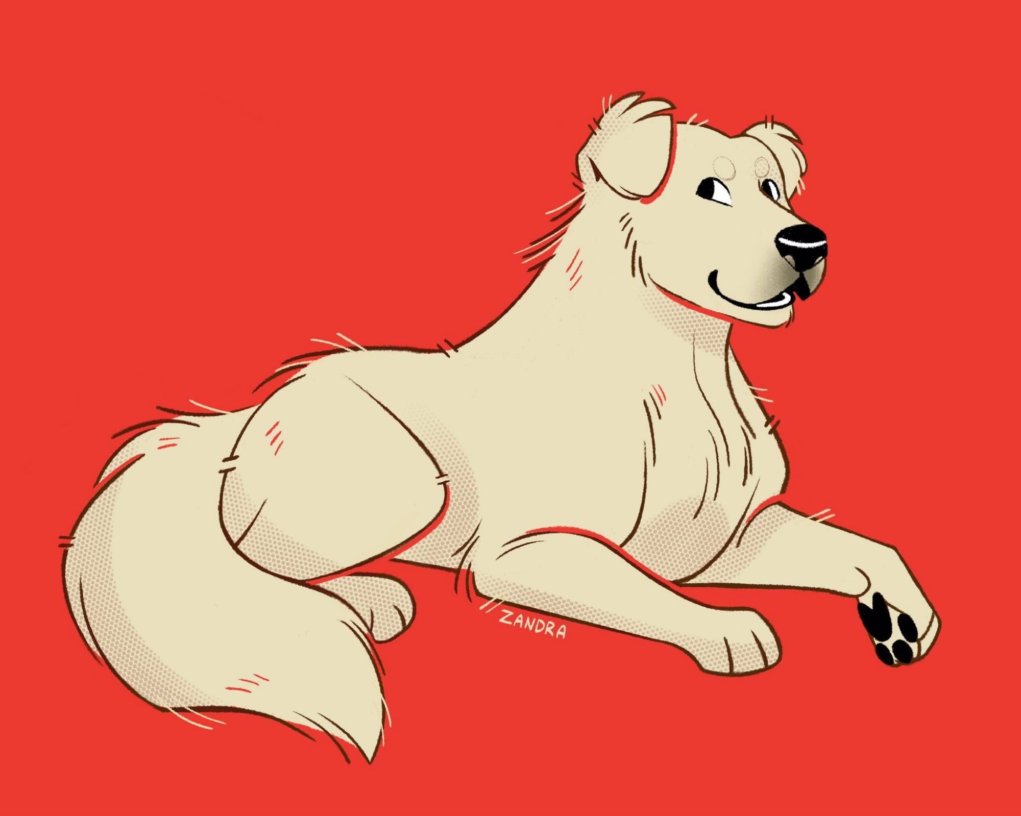 A stylized illustration of an Akbash dog on a red background. The dog is grinning and looking off to the left while laying down leisurely.