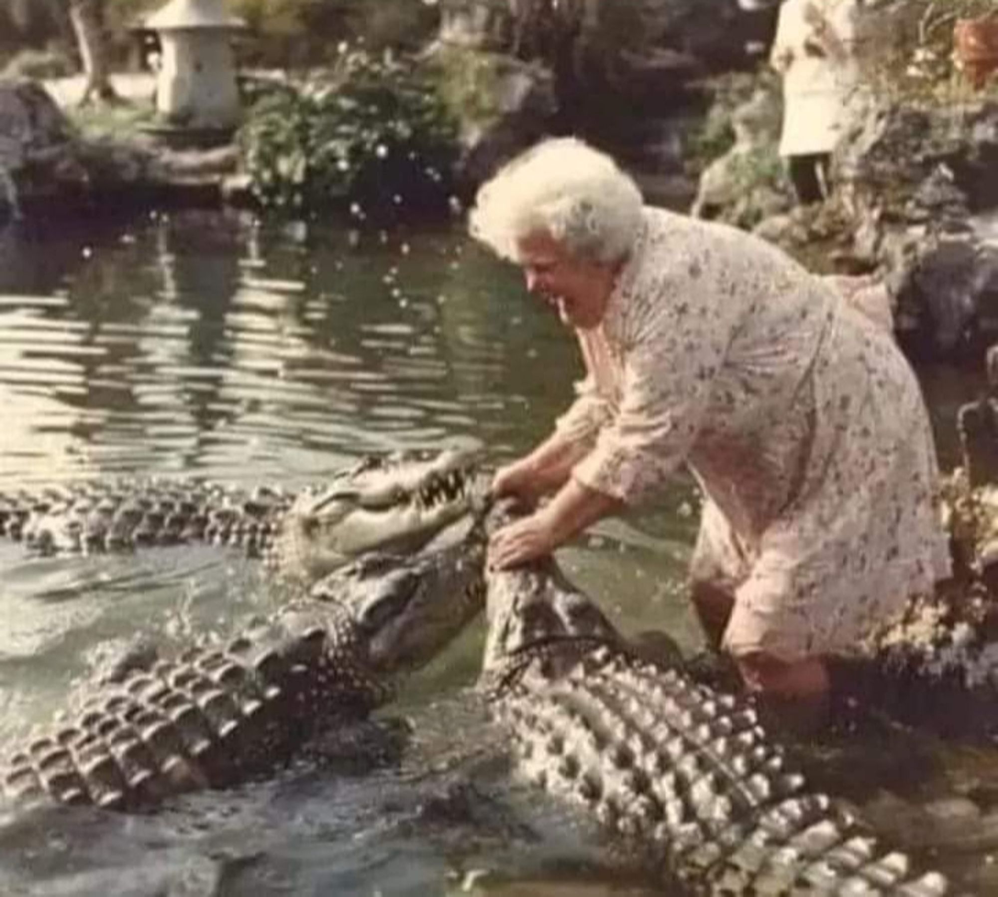 (not my) Grandma feeding the crocodiles