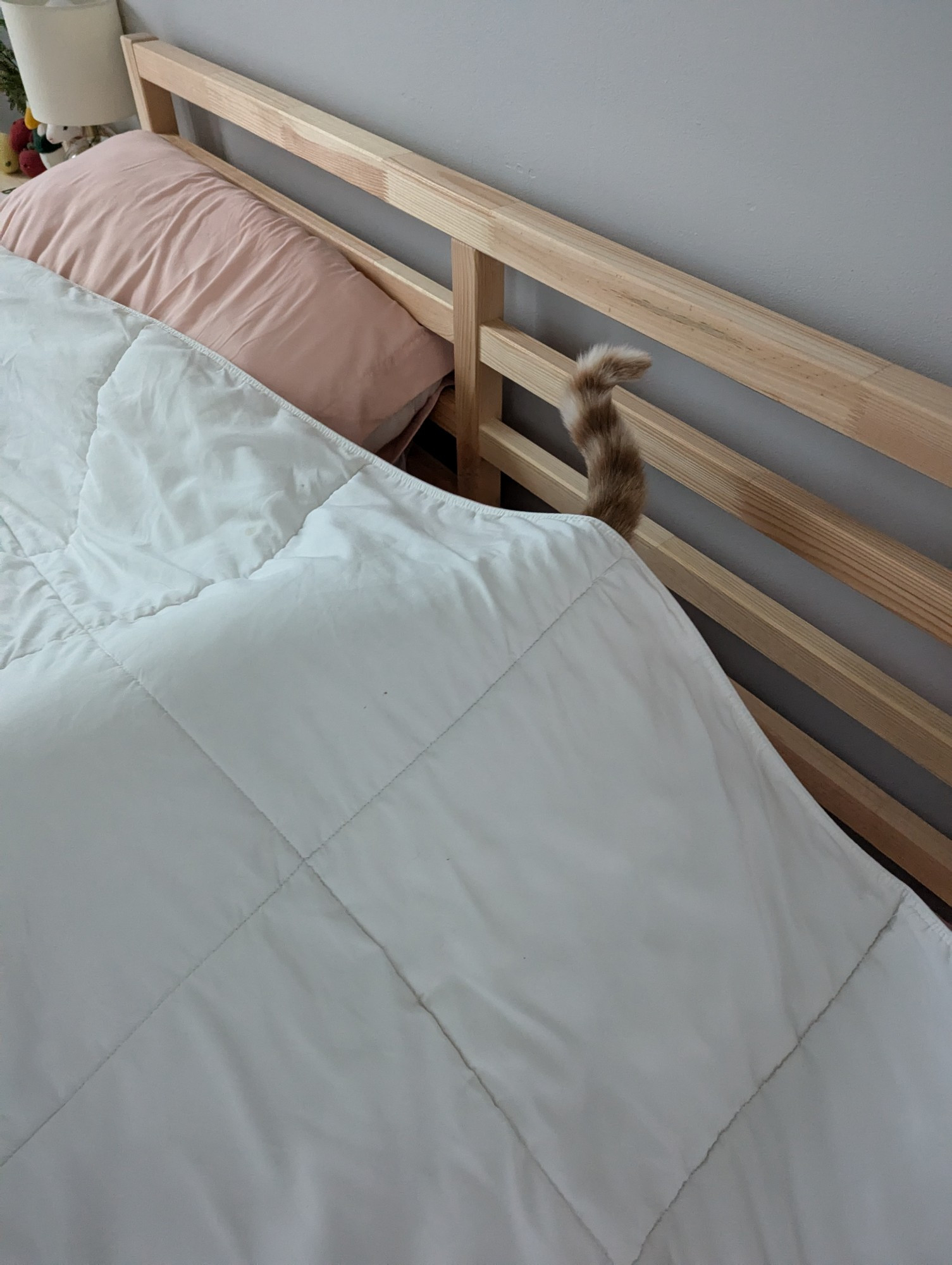 A big white comforter on a wooden bed with a pink pillow and conspicuously, an orange striped tail poking out of the hem of the comforter 