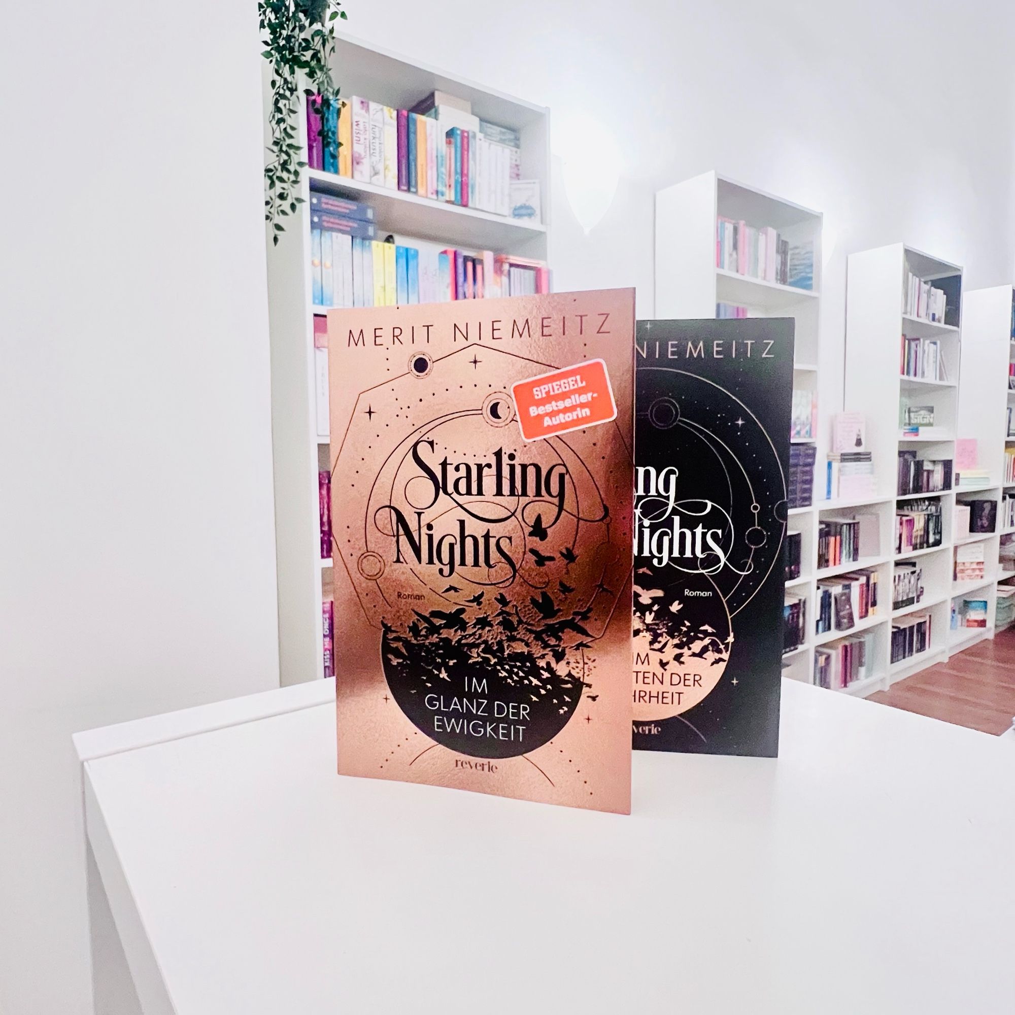 Bei uns in der Agentur. Im Vordergrund zwei Bücher von Merit Niemeitz (Starling Nights, Bd. 1, »Im Schatten der Wahrheit« und Bd. 2, »Im Glanz der Ewigkeit«) dahinter Buchregale.