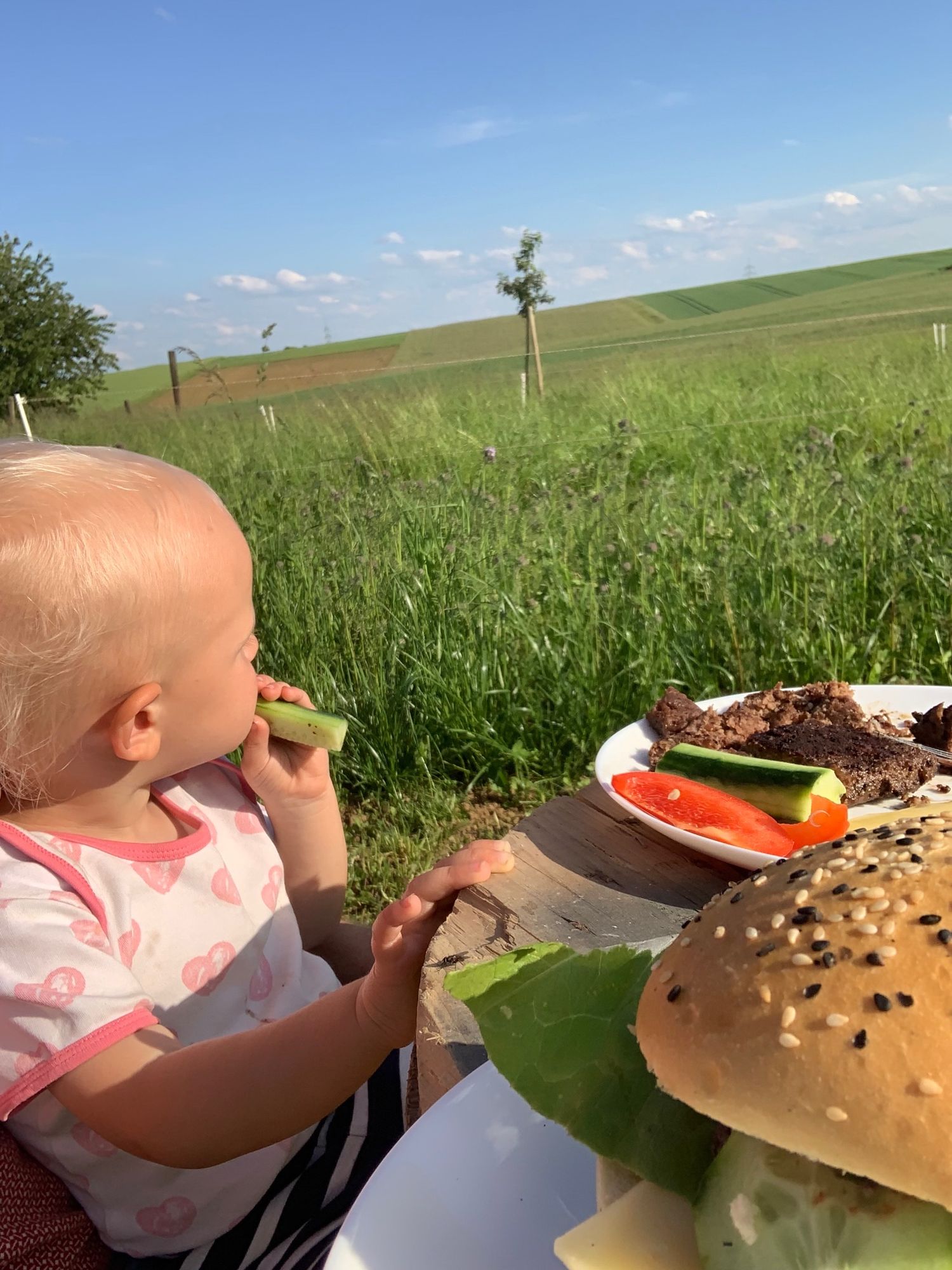 Kleinkind, das in Richtung Bildhintergrund schaut, am Tisch mit Essen. Im Vordergrund rechts ist ein Burger zu sehen. Im Hintergrund grüne Wiesen und blauer Himmel.