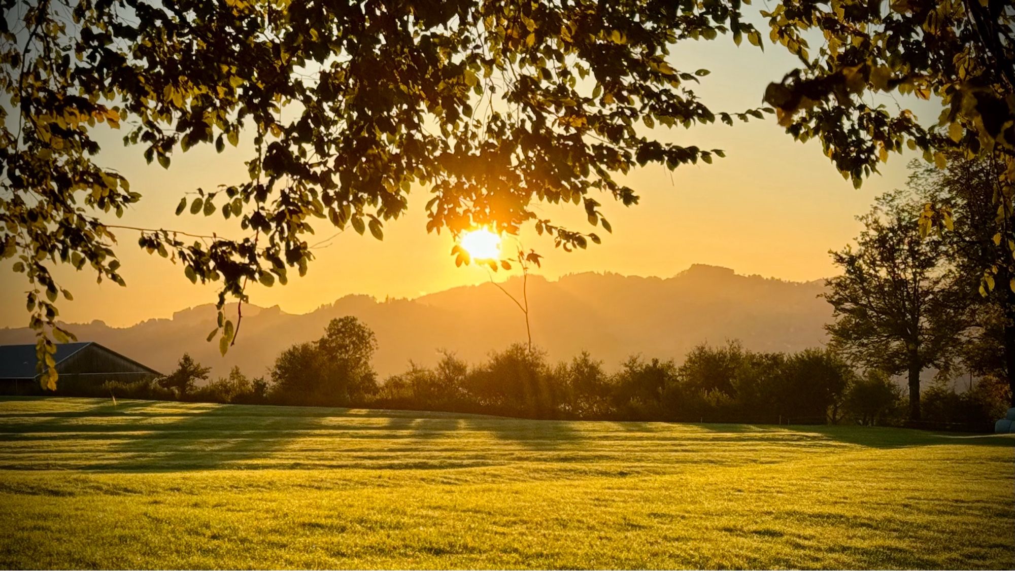 Sonnenaufgang im goldenen Herbst