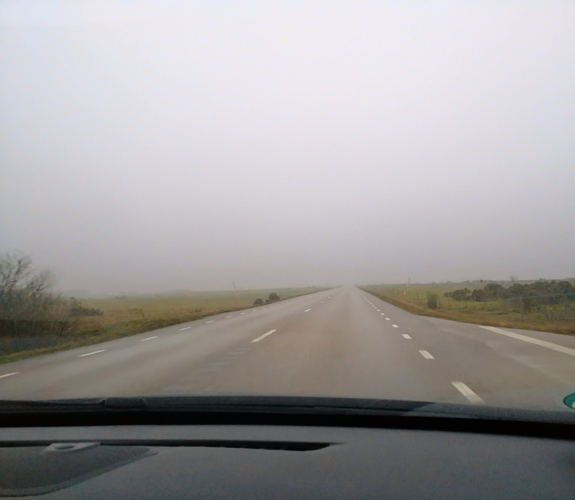 Blick durch die Frontscheibe eines Autos auf eine gerade,flache Straße. Das Wetter ist neblig und trüb, rechts und links neben der Straße ist die Landschaft eintönig.