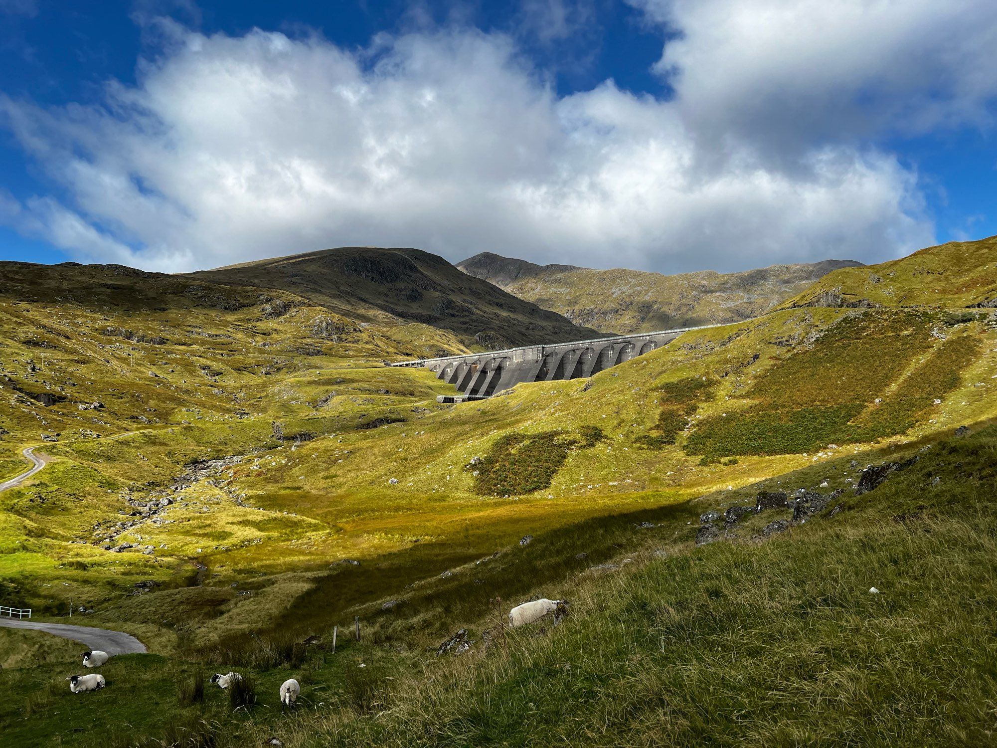 Picture of a dam with the peak of Ben Cruachan behind it. Some sheep are in the foreground.