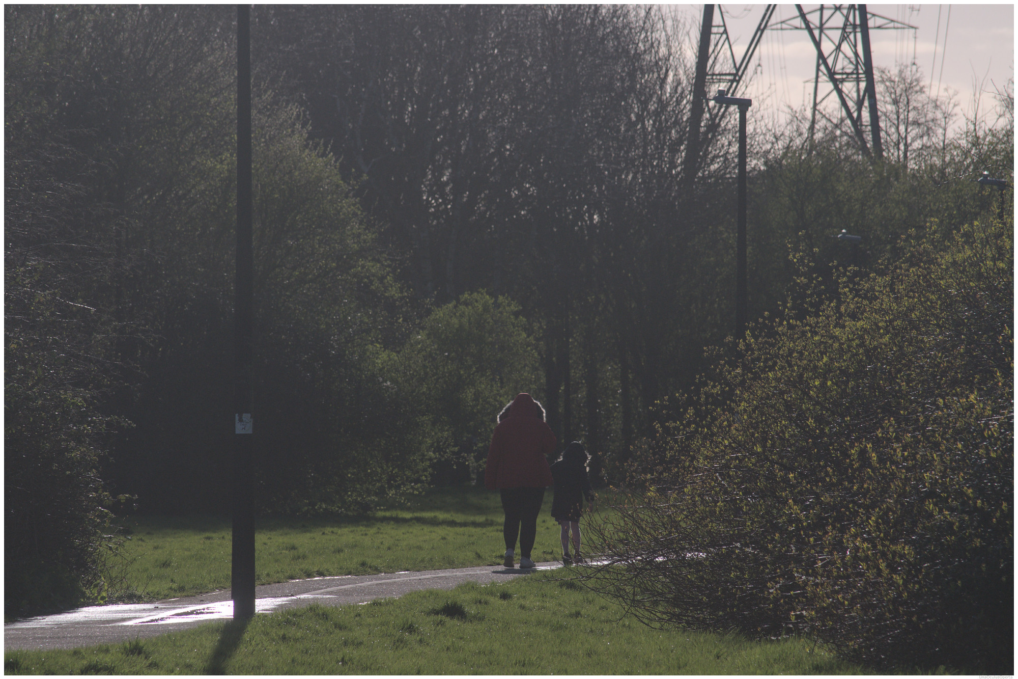 A colour photograph of a woman and a young girl walking along a pathway between bushes, trees and two street lights - toward an electricity pylon. Taken against the light causing the fake fur hoods of the subjects coats to halo.