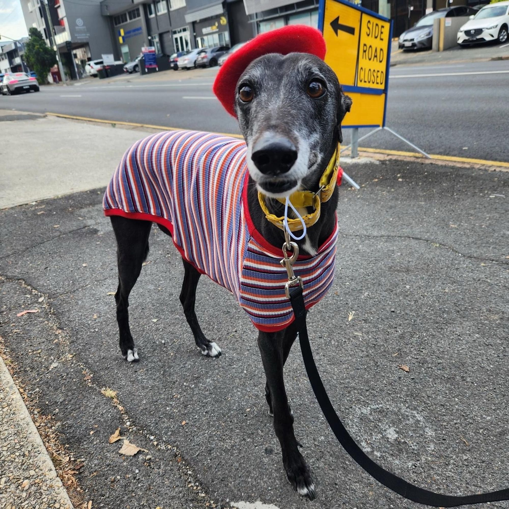 Pippa posing for the camera in a stripey shirt and little beret like a classy French lady