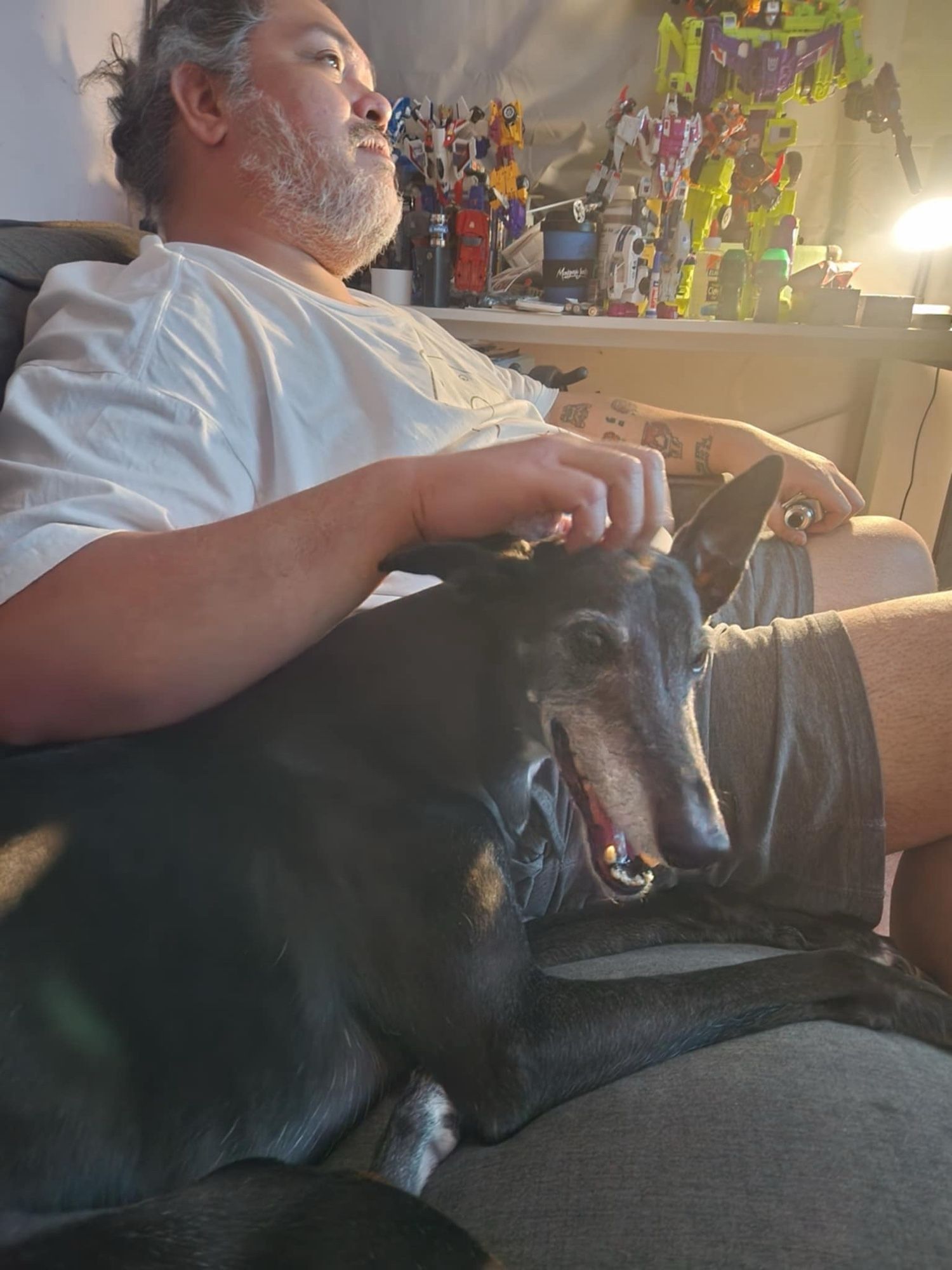 Me and Pippa on the couch watching the NRL grand final while giving her head scritches