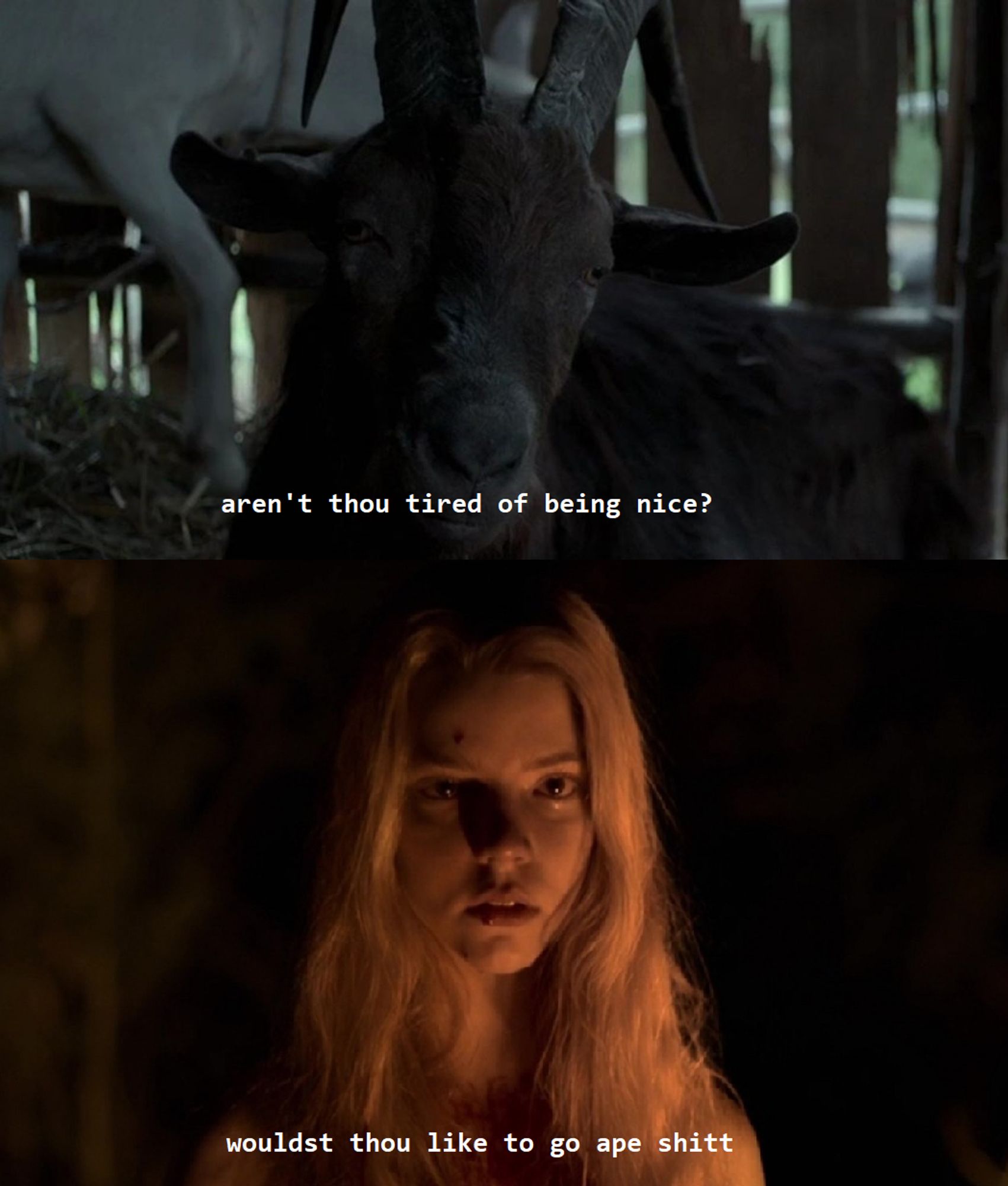 the scene from The Witch (2015) where Black Phillip asks Thomasin "wouldst thou like to live deliciously". it has been recaptioned "aren't thou tired of being nice? wouldst thou like to go ape shit"