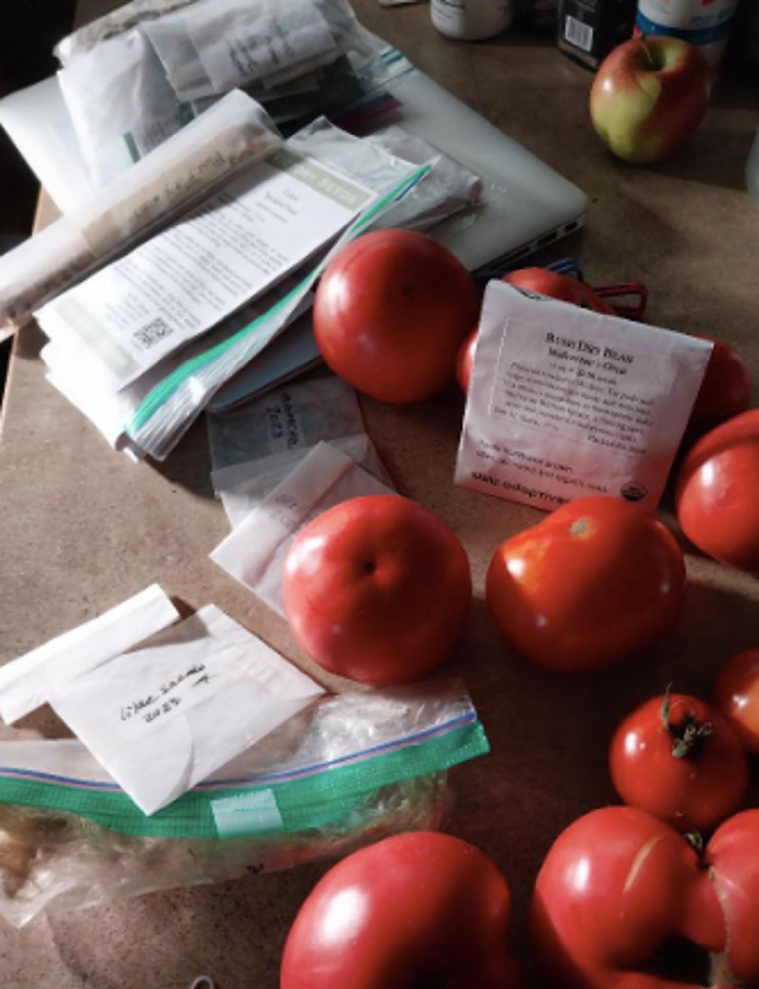 Ripe tomatoes and packets of seeds jumbled together