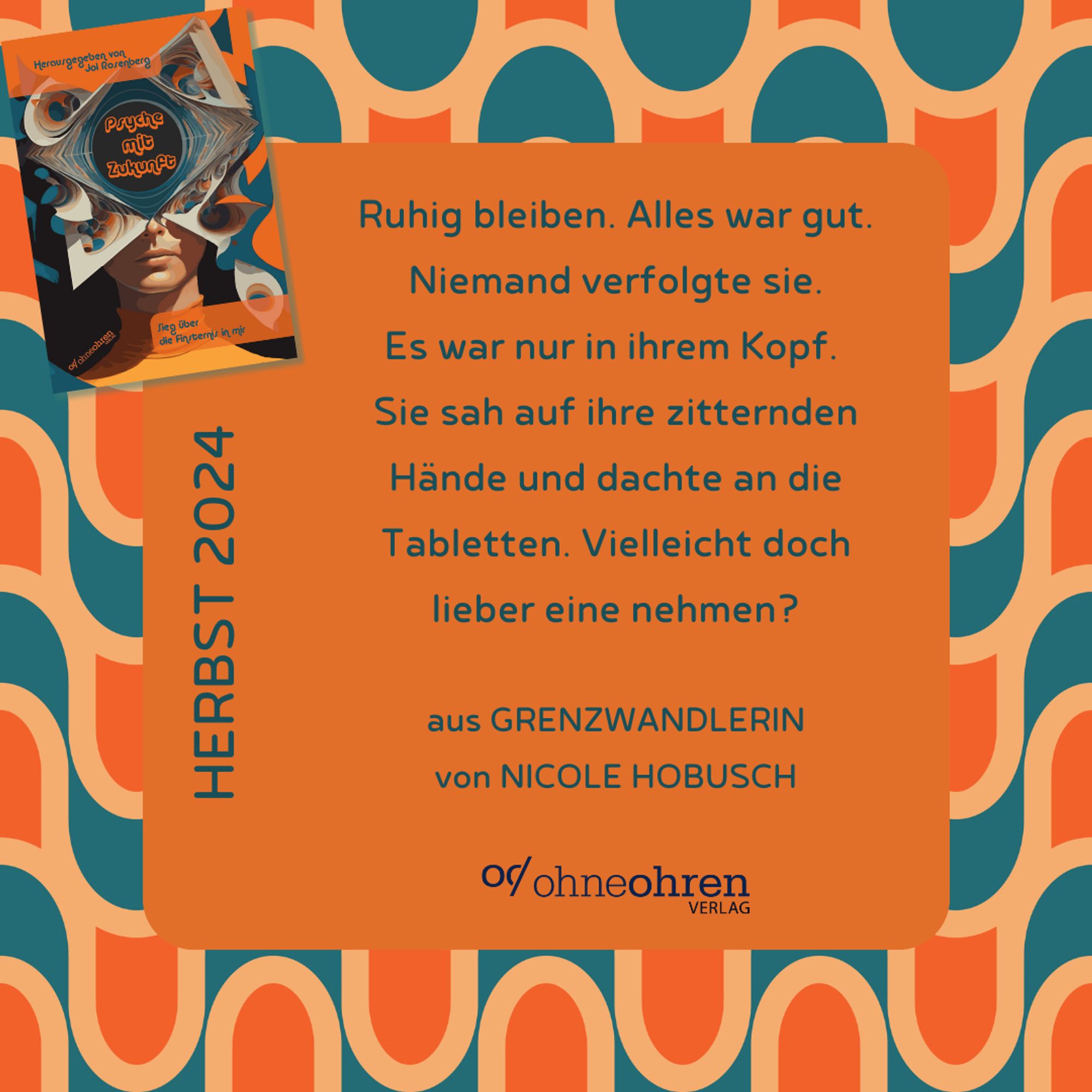 Vor Hintergrund einer blau-orangenen 70er Jahre-Tapetenoptik sieht man einen orangenen Textkasten, an dessen linker oberer Ecke sich das Cover von “Psyche mit Zukunft”, herausgegeben von Jol Rosenberg, befindet. Darauf klappt sich das Gesicht einer Person in abstrakte, übereinanderliegende Papierformen auf, in deren Mitte ein Kreis mit dem Buchtitel freiliegt.

Rechts daneben liest man folgendes Zitat: “Ruhig bleiben. Alles war gut. Niemand verfolgte sie. Es war nur in ihrem Kopf. Sie sah auf ihre zitternden Hände und dachte an die Tabletten. Vielleicht doch lieber eine nehmen?”

Darunter steht zuerst “aus Grenzwandlerin von Nicole Hobusch”, dann folgt das Verlagslogo.

Am linken Rand des Kastens steht zudem: “Herbst 2024”