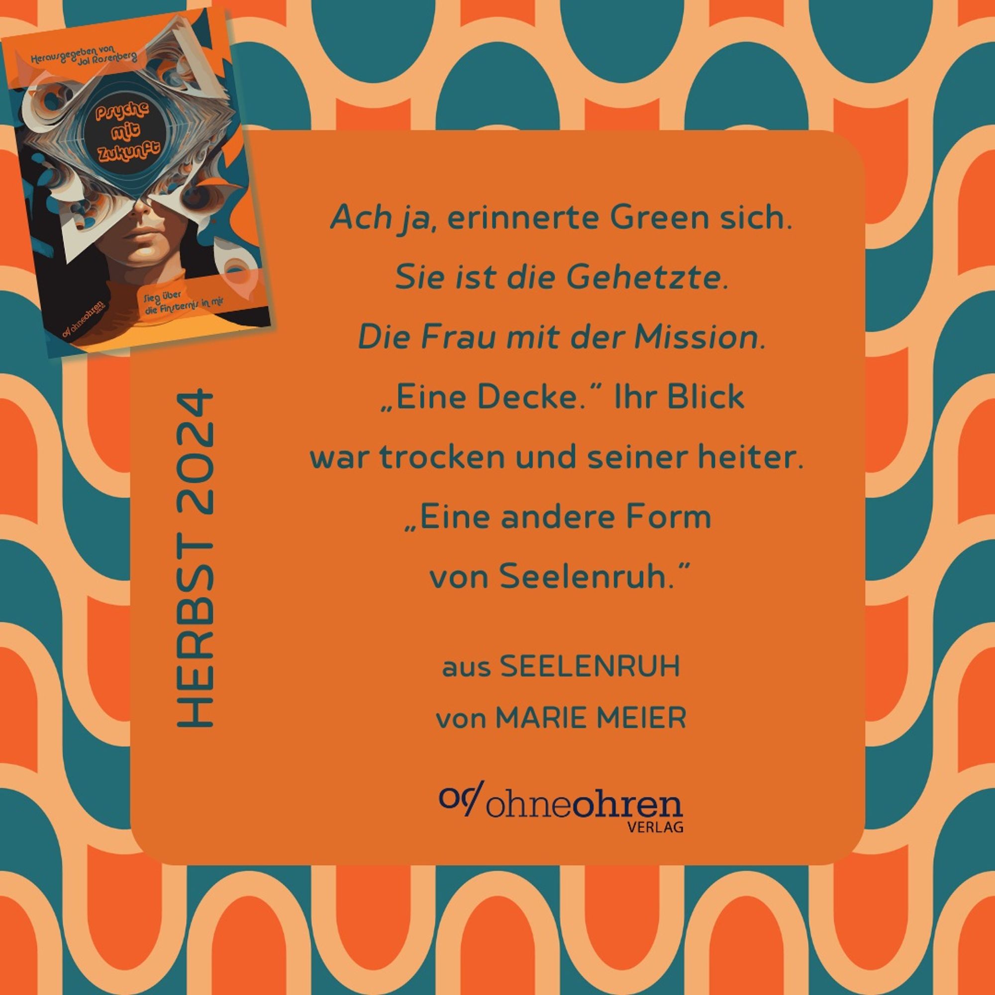 Vor Hintergrund einer blau-orangenen 70er Jahre-Tapetenoptik sieht man einen orangenen Textkasten, an dessen linker oberer Ecke sich das Cover von “Psyche mit Zukunft”, herausgegeben von Jol Rosenberg, befindet. Darauf klappt sich das Gesicht einer Person in abstrakte, übereinanderliegende Papierformen auf, in deren Mitte ein Kreis mit dem Buchtitel freiliegt.

Rechts daneben liest man folgendes Zitat: ‘Ach ja, erinnerte Green sich. Sie ist die Gehetzte. Die Frau mit der Mission.
”Eine Decke.” Ihr Blick war trocken und seiner heiter. “Eine andere Form von Seelenruh.’

Darunter steht zuerst “aus Seelenruh von Marie Meier”, dann folgt das Verlagslogo.

Am linken Rand des Kastens steht zudem: “Herbst 2024”