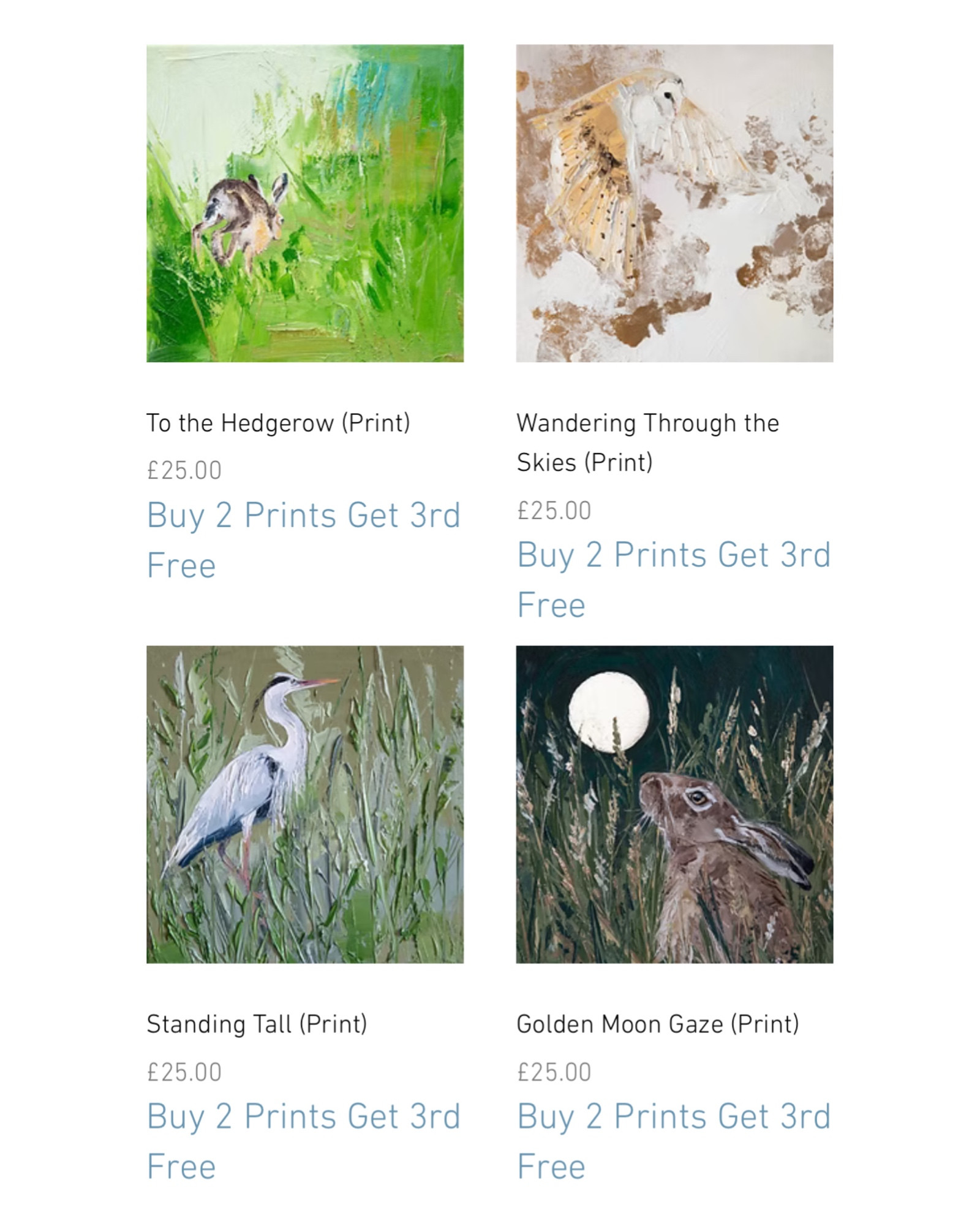 Prints on my website 