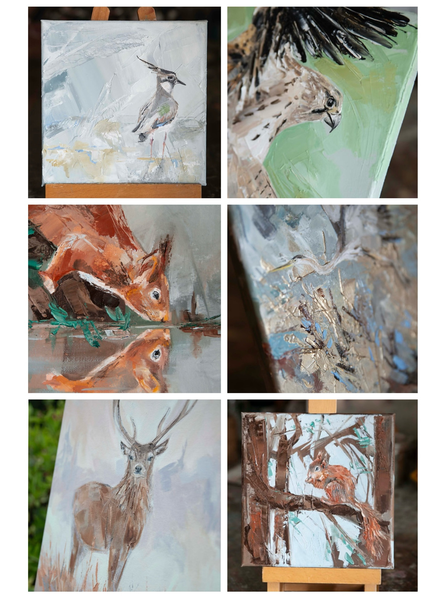 Lapwing, kestrel, squirrel, heron, stag