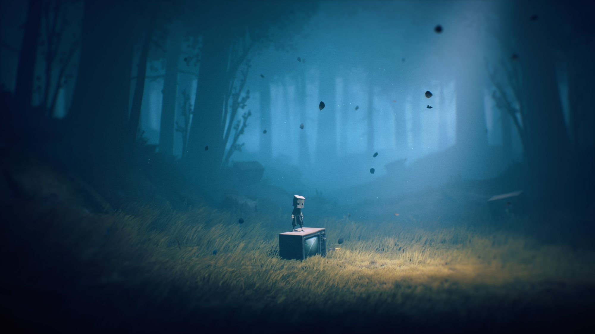 The boy with a bag on his head stands on top of a television in the middle of the forest. He is tiny.