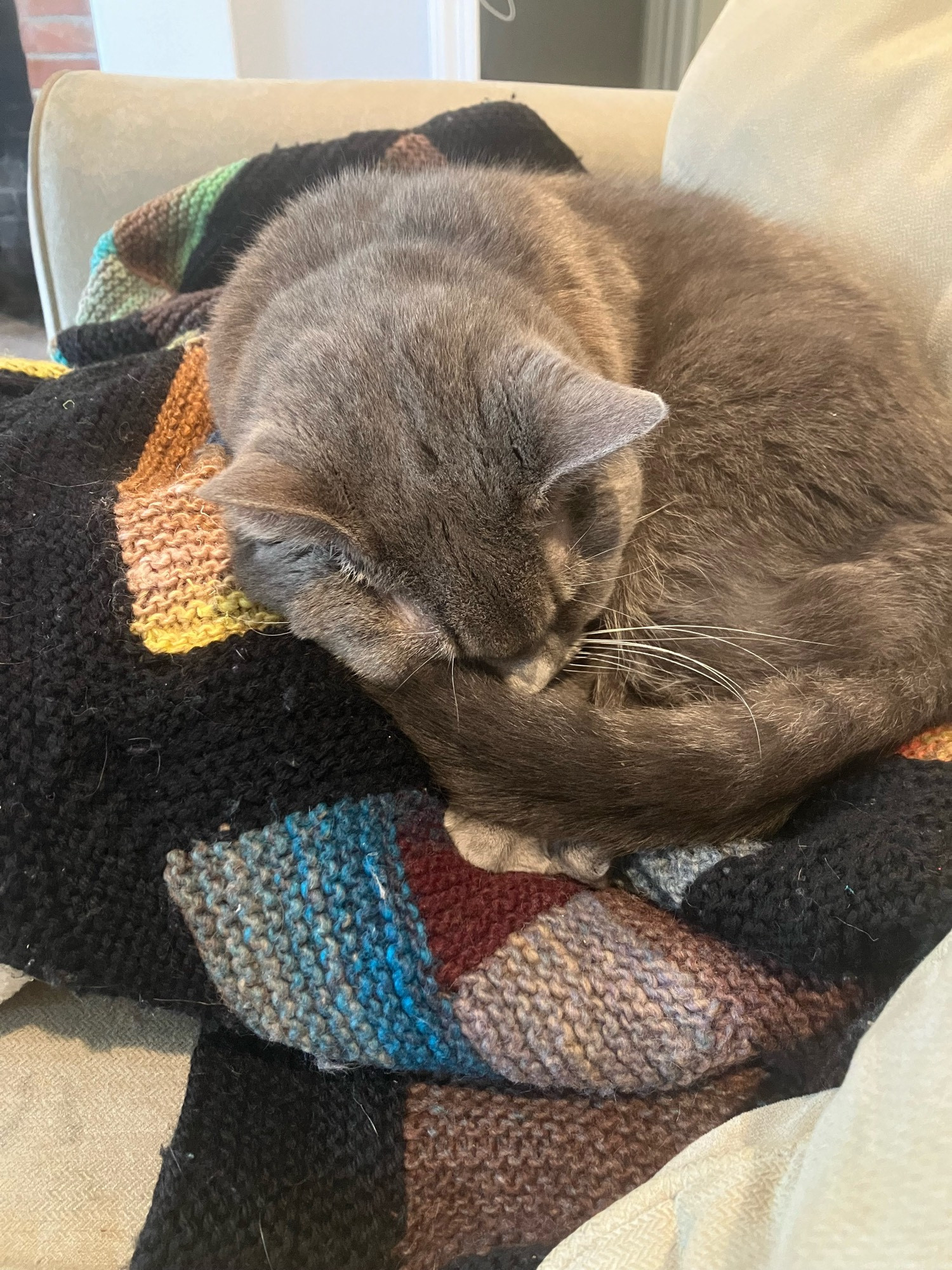 Grey cat sleeping on a colorful, knit, log-cabin style blanket.  Her tail is wrapped over her paws and across her nose.