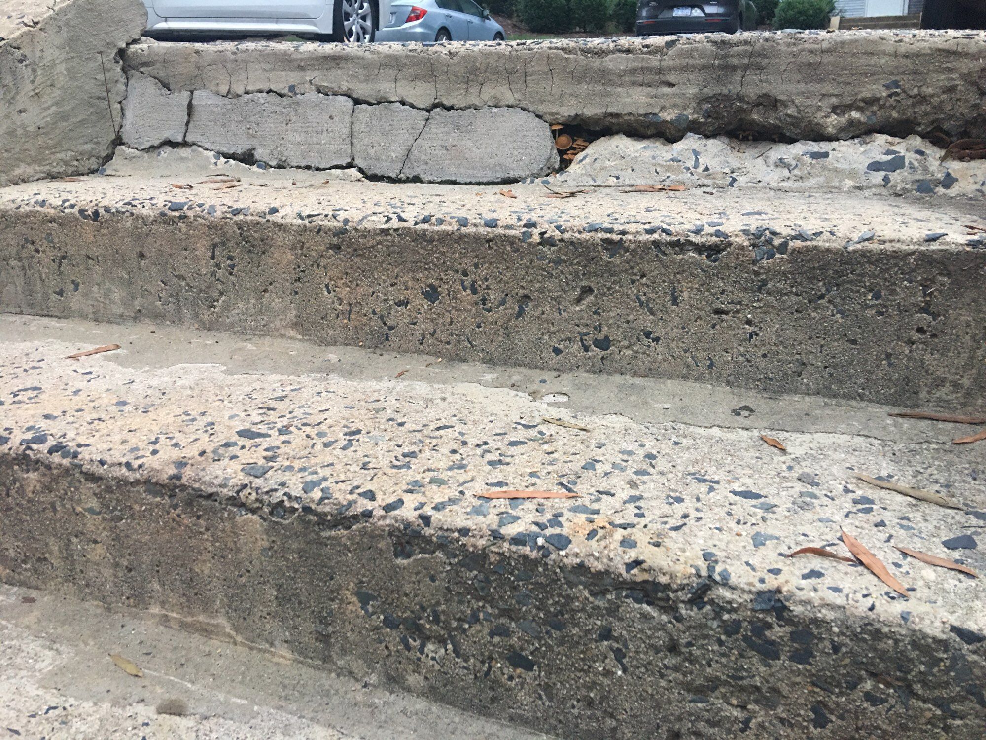 A photo of worn concrete steps, with cracks and gravel showing in places.  In one long crack is a larger gap in which some small brown mushrooms are peeking out.