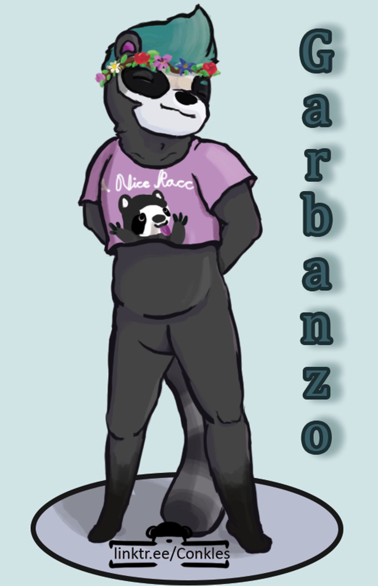 an anthro raccoon with a crop top, the crop top has a raccoon on it and the words "A Nice Racc"