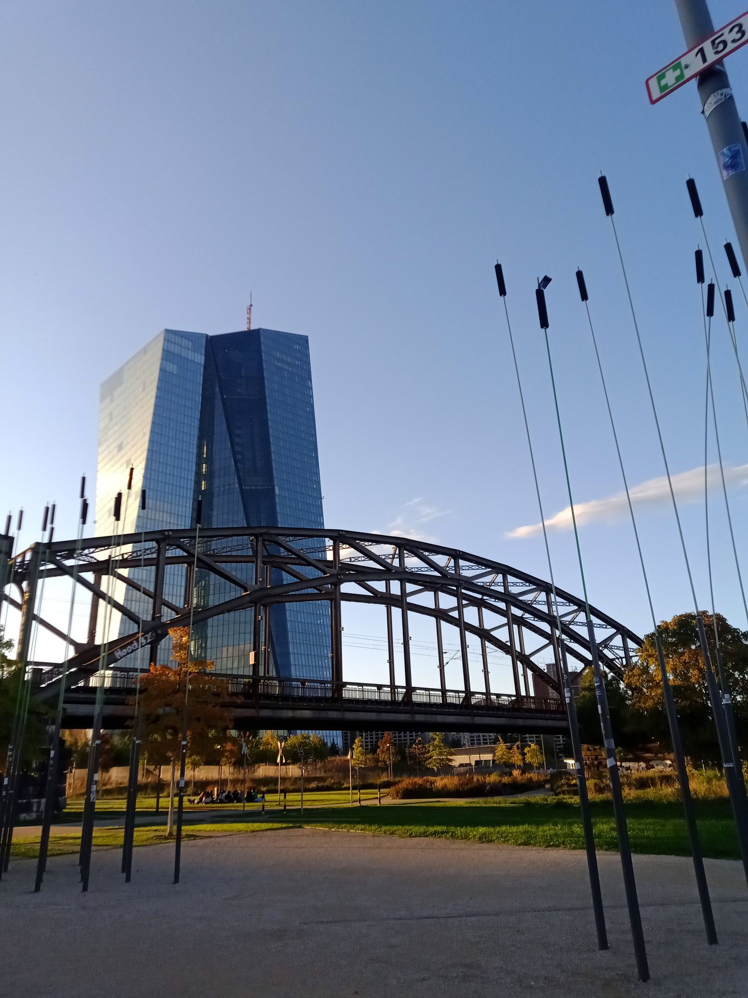 Das EZB-Gebäude, davor eine Brücke, etwas Wiese, ein paar sich langsam herbstlich verfärbende Pflanzen. 
Vorne versiegelter Boden, links und rechts Kunst, die vlt an Schilf erinnern soll: hohe Stangen mit runden Bürsten an den Enden. 
Alles in Abenddämmerung. 
Himmel fast vollständig klar. 
Rechts oben Teil eines Laternenpfahls mit Rettungspunkt-Schild 153.