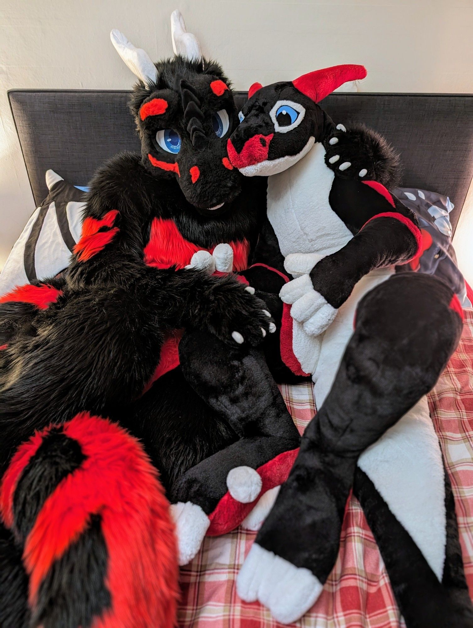 Phyore in fursuit as a black and red dragon with the Winston 2m plush from plush life in matching colours