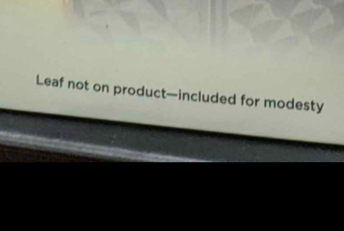 Text on bottom of cherub box that reads, "Leaf not on product -- included for modesty."