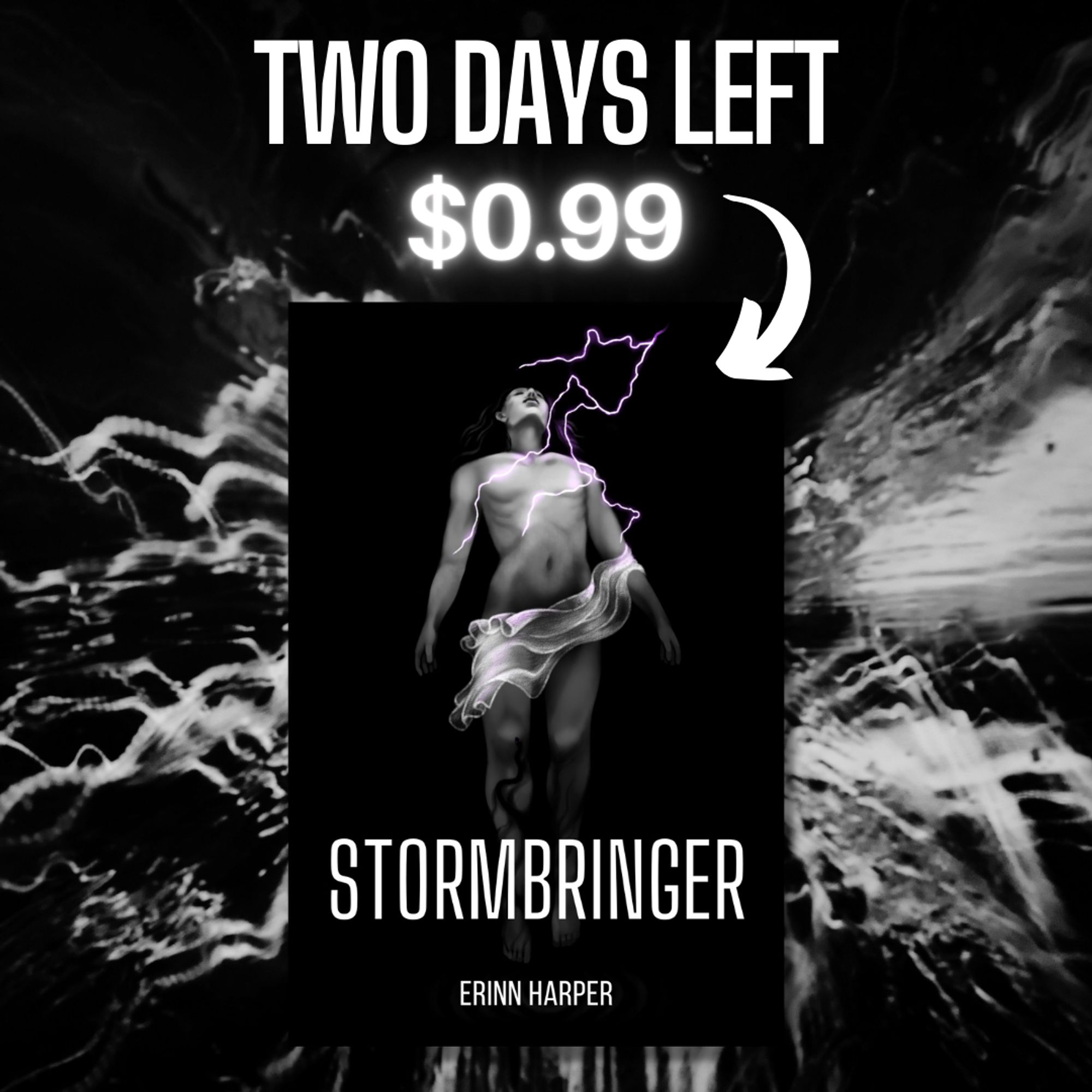 Graphic featuring cover of Erinn Harper's novel STORMBRINGER with text "Two days left: $0.99"