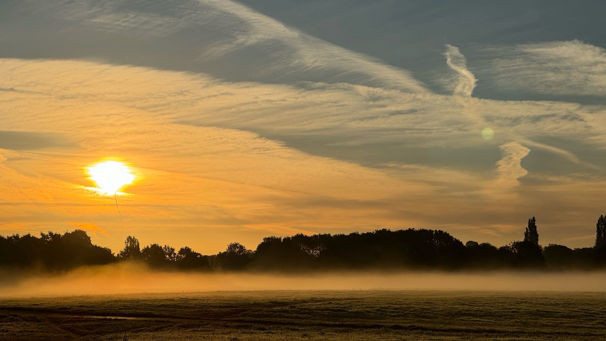 Grassland, mist, trees, and the rising sun