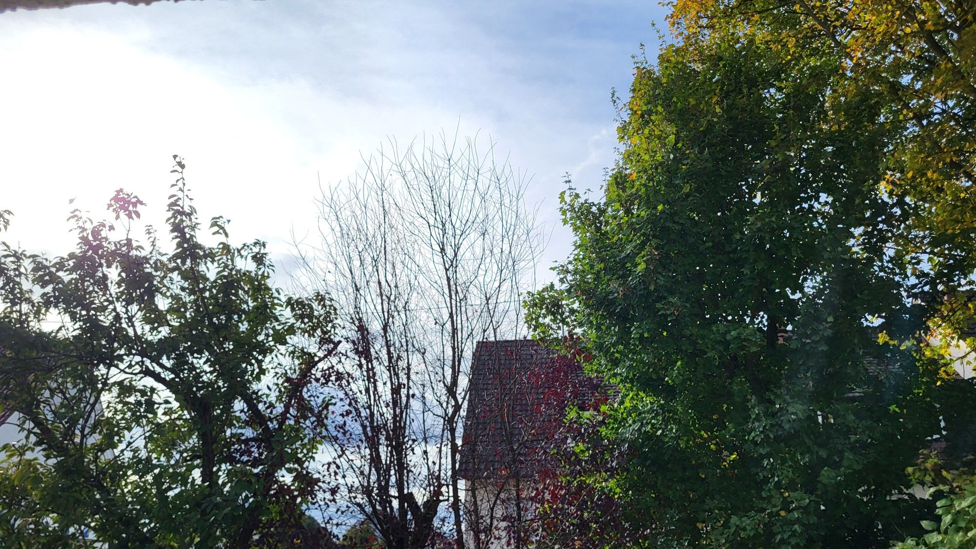 Im Vordergrund Bäume und dahinter ein Haus.Darüber dichte Wolken durch die aber zusehends blau schimmert