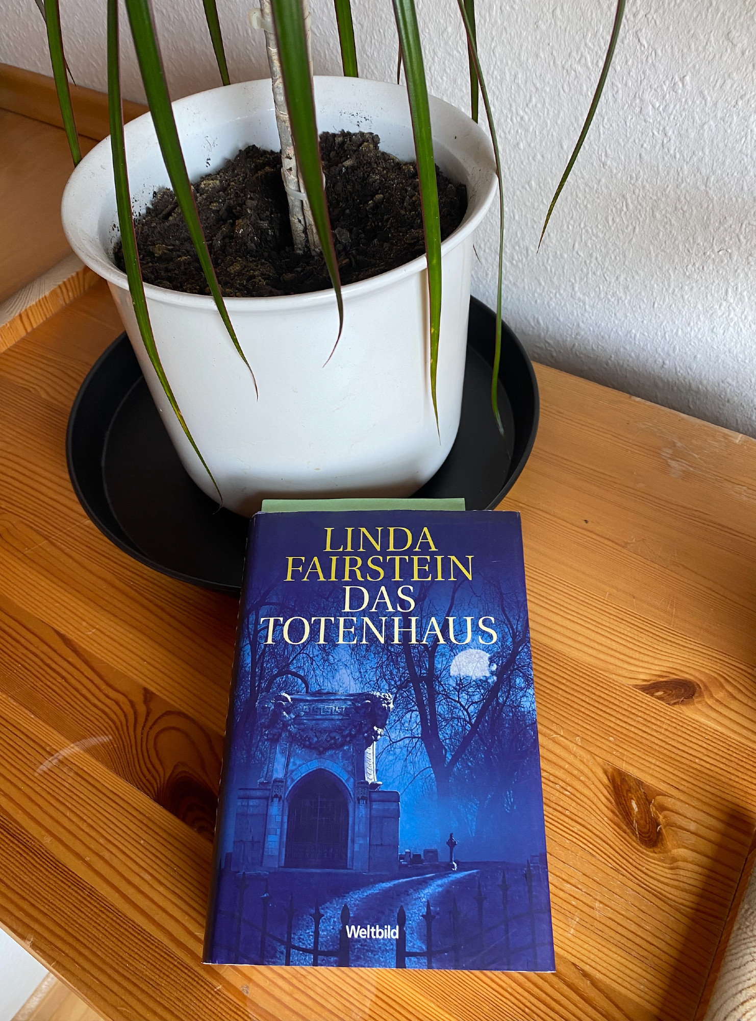 Buchcover. Linda Fairstein. Das Totenhaus. Ein Weg führt zu einem alten Haus. Im Vordergrund ein schmiedeeiserner Zaun. Im Hintergrund Bäume, durch die der Mond zu sehen ist.