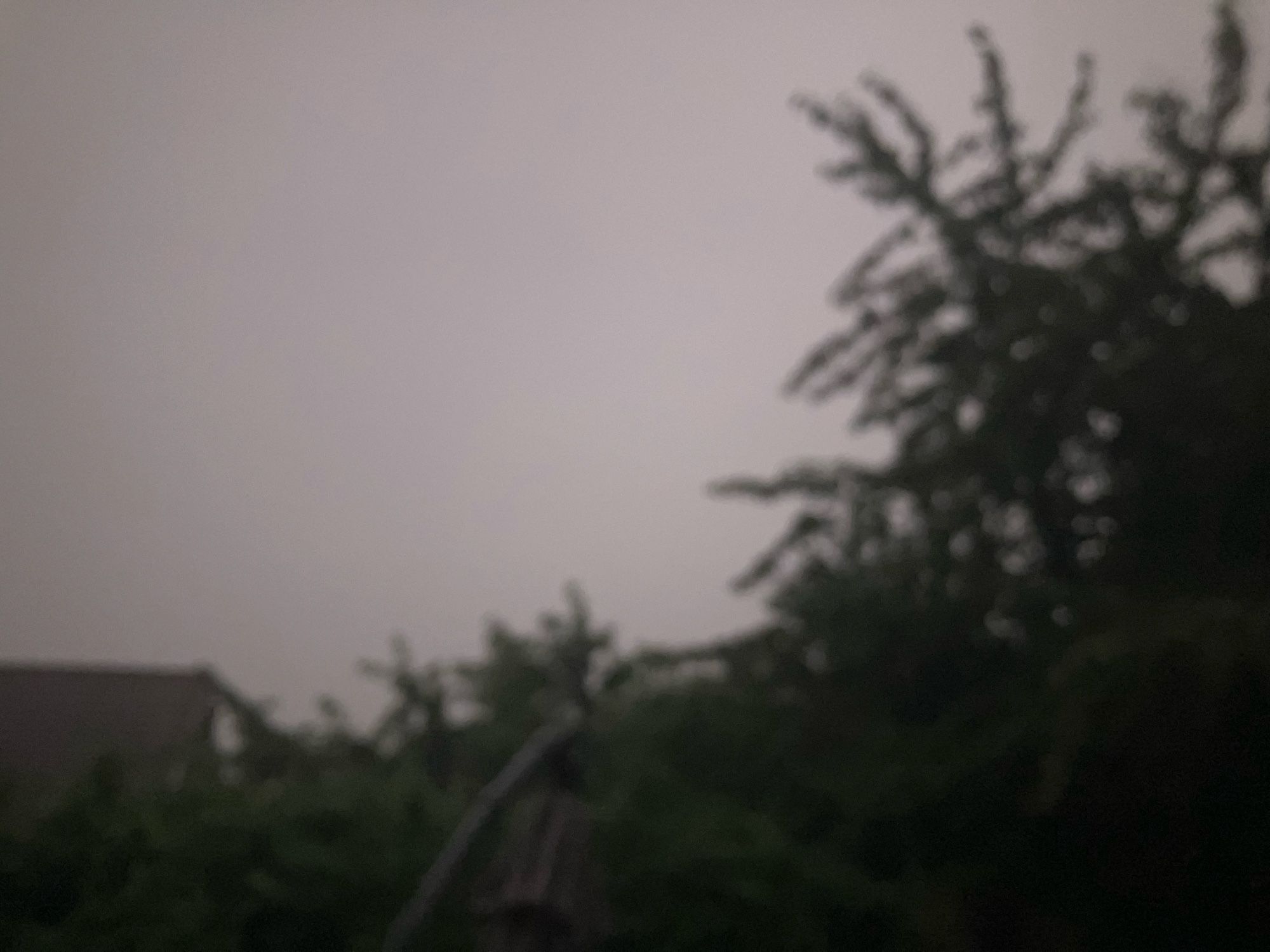 Verschwommenes Bild mit Regen von Bäumen und einem bewölkten Himmel. Hell bei Nacht durch Blitze.