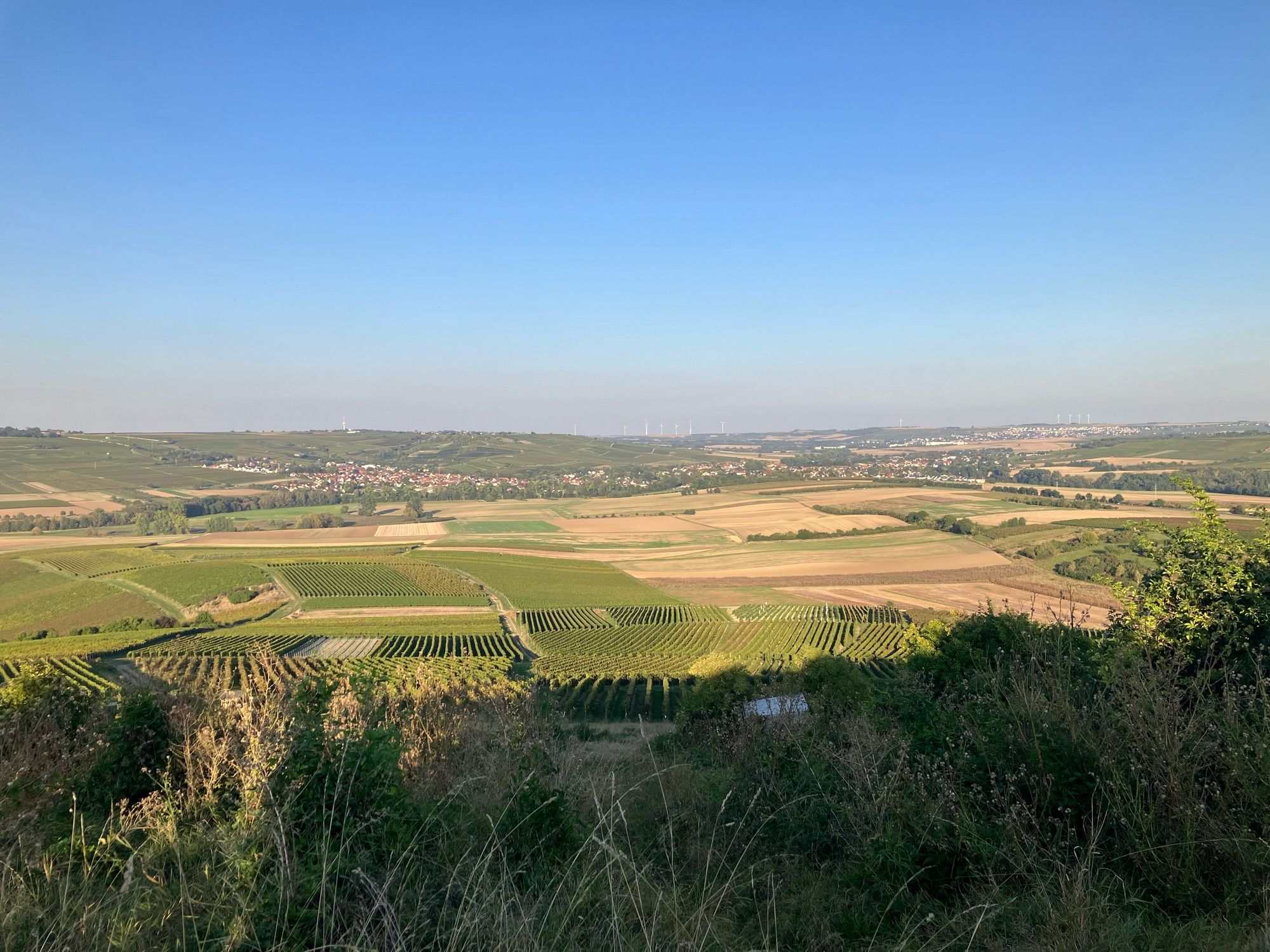 Ein Panoramablick auf sanfte Hügel und Weinberge unter einem klaren blauen Himmel, mit einem weit entfernten Dorf und Windkraftanlagen am Horizont.

A panoramic view of rolling hills and vineyards under a clear blue sky, with a distant village and wind turbines visible on the horizon.