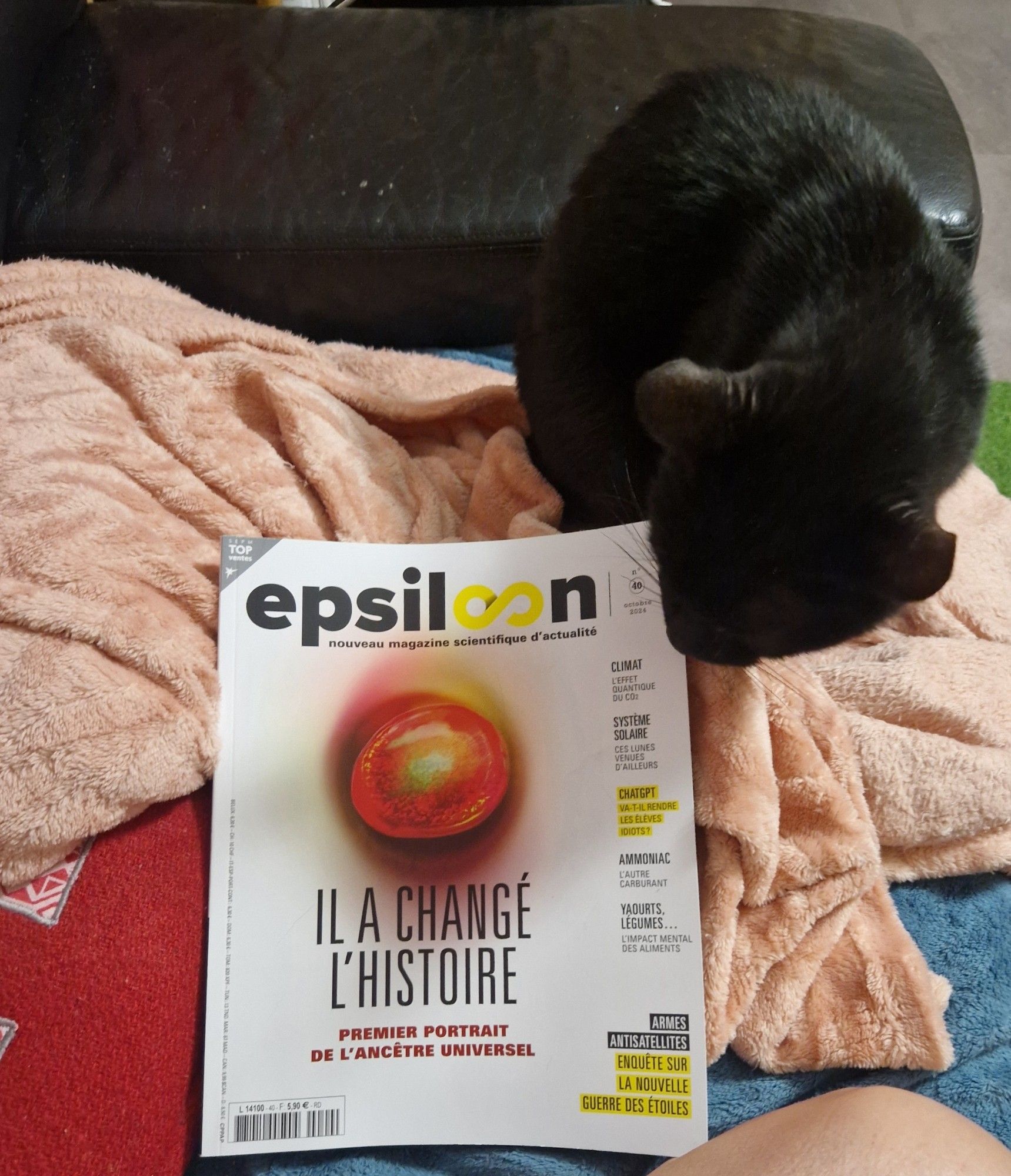 Chat noir sur couverture rose pâle, lisant le magazine Epsiloon