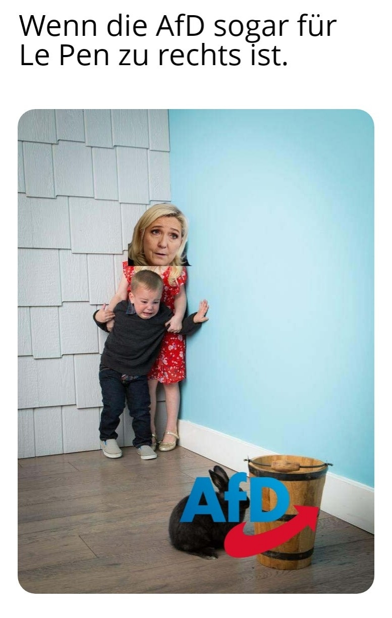 Ein Meme. 
Text: Wenn die AfD sogar für Le Pen zu rechts ist. 
Bild: Zwei Kinder stehen in einer Ecke voller Angst starren auf einen schwarzen Kaninchen, auf dessen ein AfD Logo drauf ist.