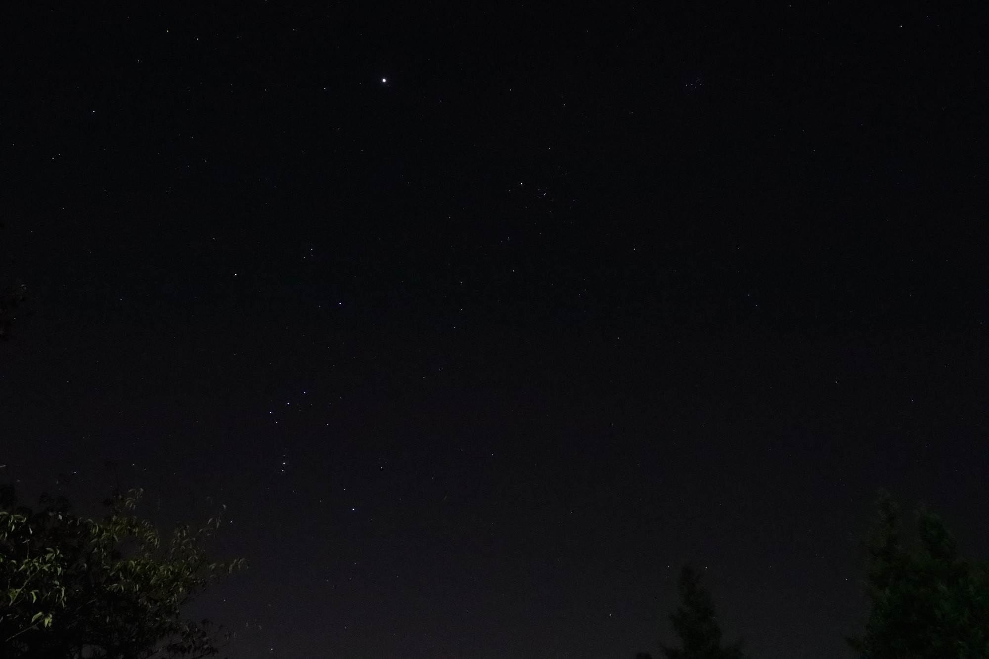 Orion against night sky 20241003 with Jupiter and Pleiades