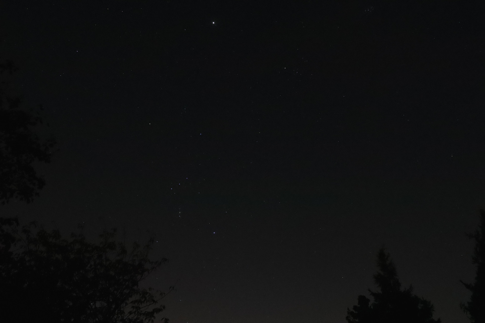 Orion against night sky 20241003 with Jupiter and Pleiades