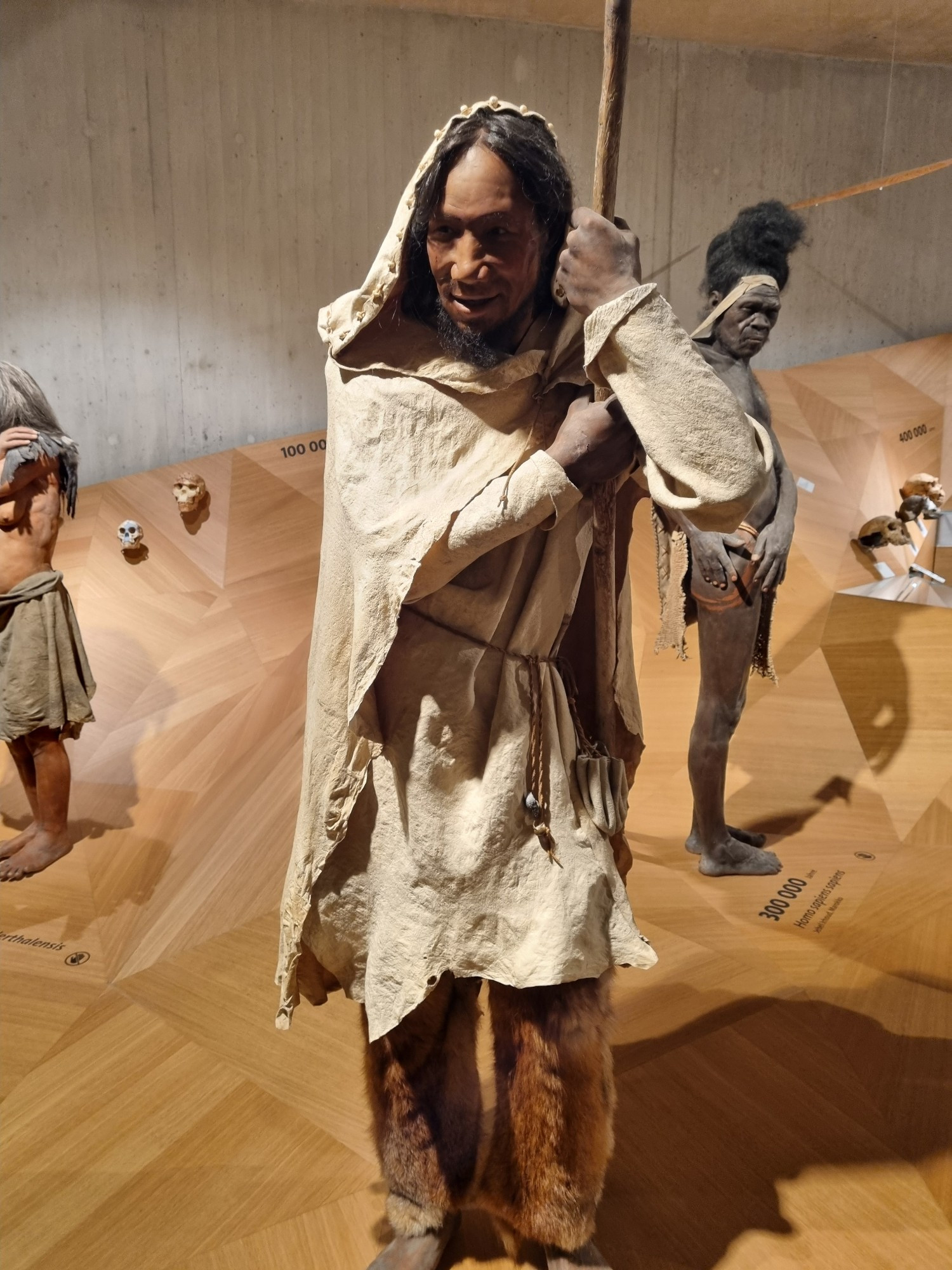 Life restoration of a 40 thousand year old Homo sapiens dressed in ancient clothes. In the background a neanderthal, an archaic Homo sapiens and some hominin skulls.