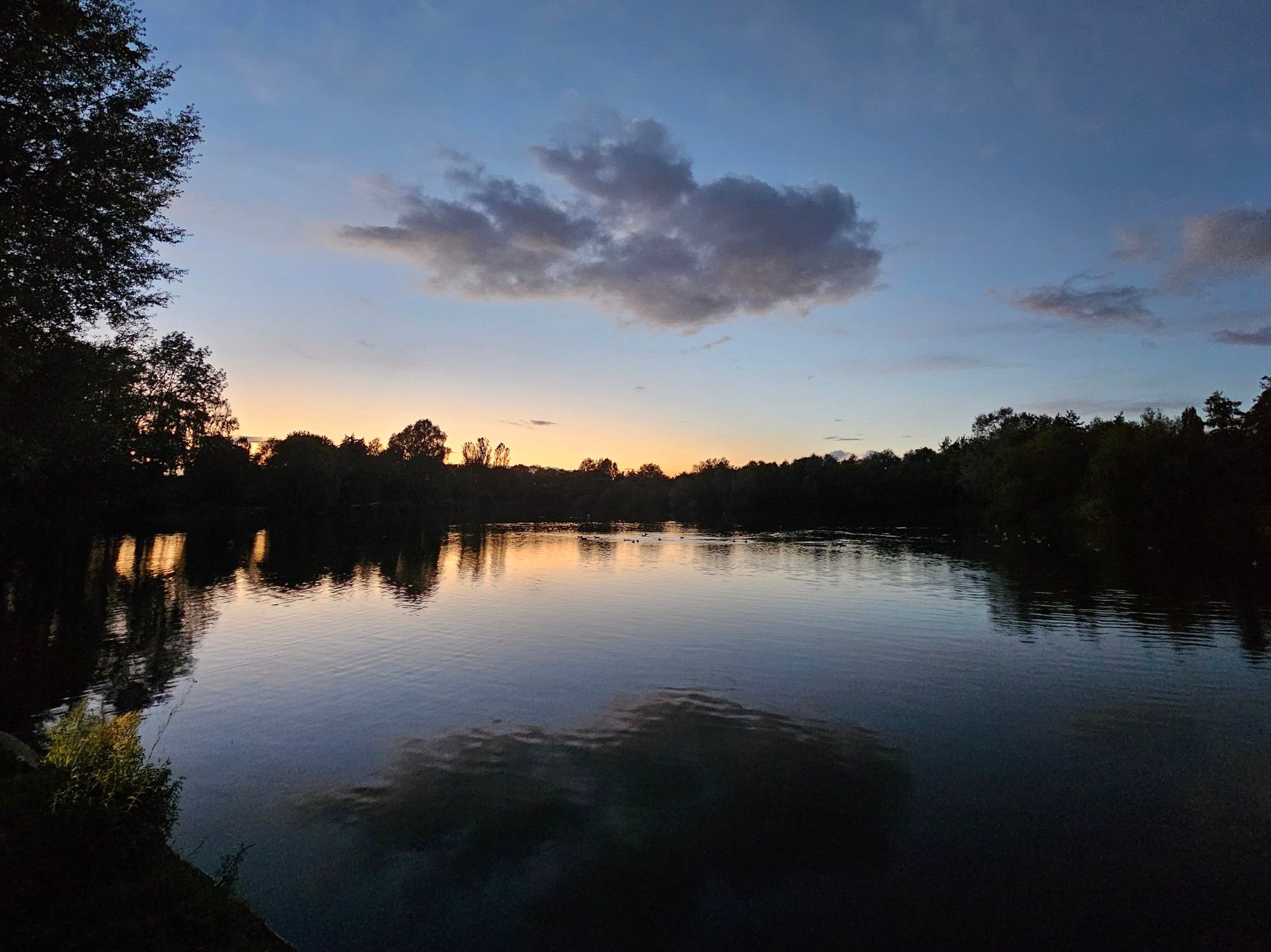 Sunset over a large lake, surrounded by trees