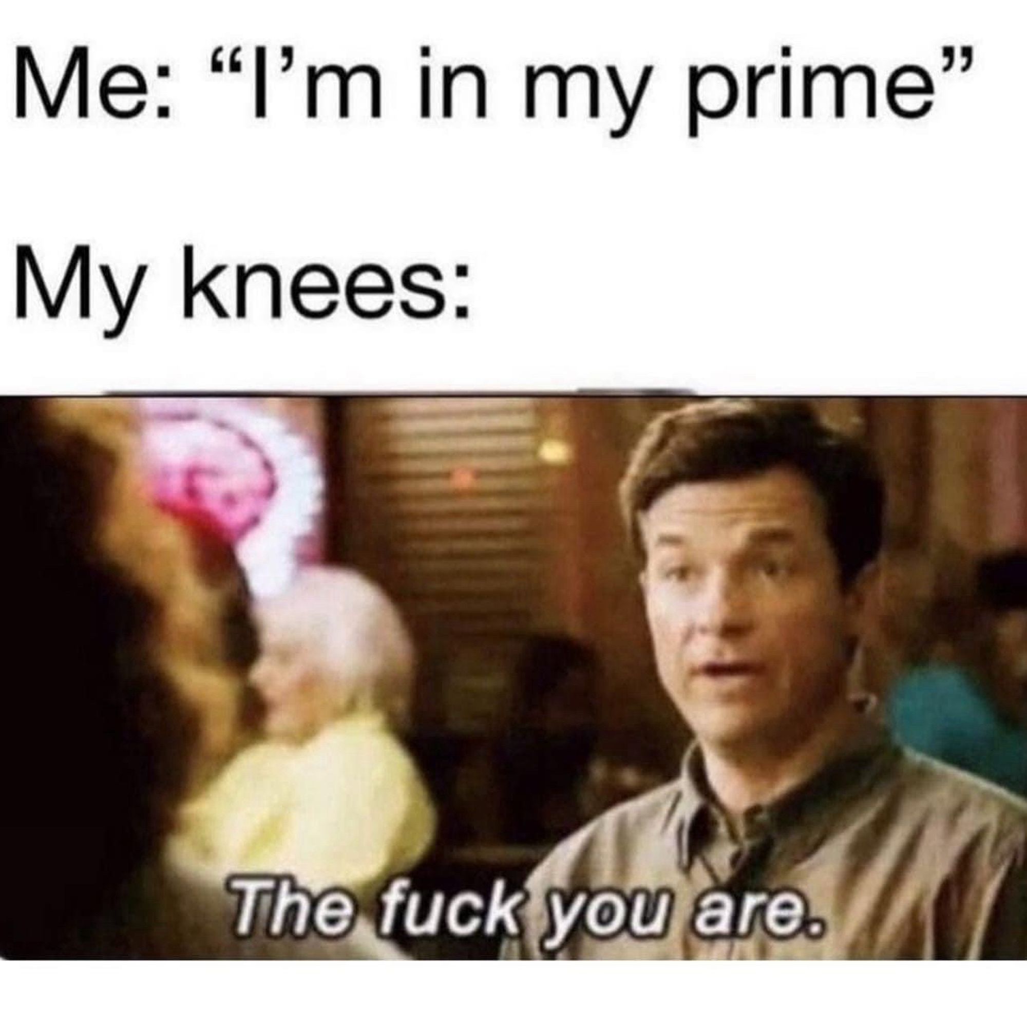 Meme 

Me: I’m in my prime 

My Kees:

(picture of Jason Bateman staring across the table at someone and saying “the fuck you are” completely deadpan)