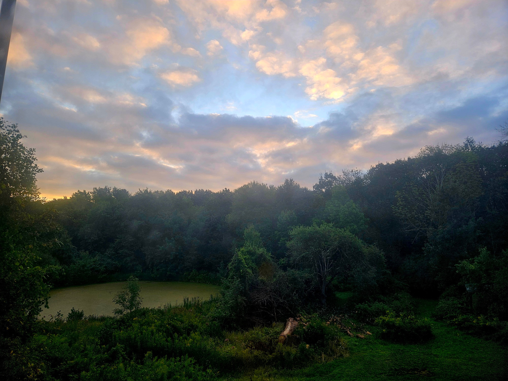 An peach tinted cloudy sunrise over a lush forest 