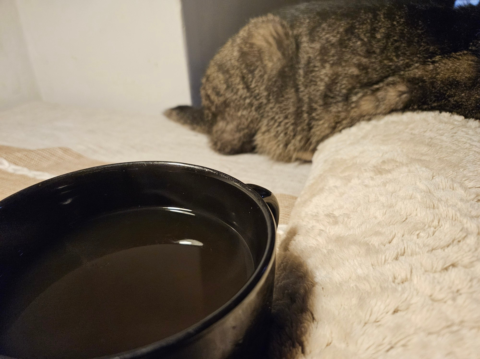 Black mug filled with hot green tea and whiskey.  Striped cat butt in background.