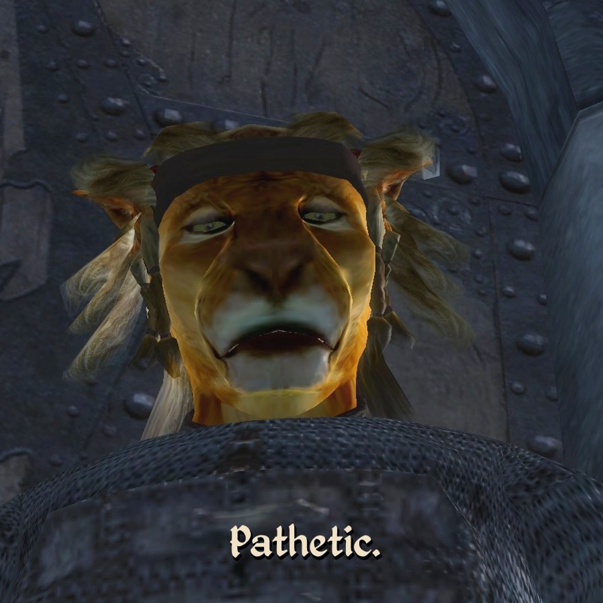 Khajiit in chainmail looking down at you with a judgemental face. "Pathetic."