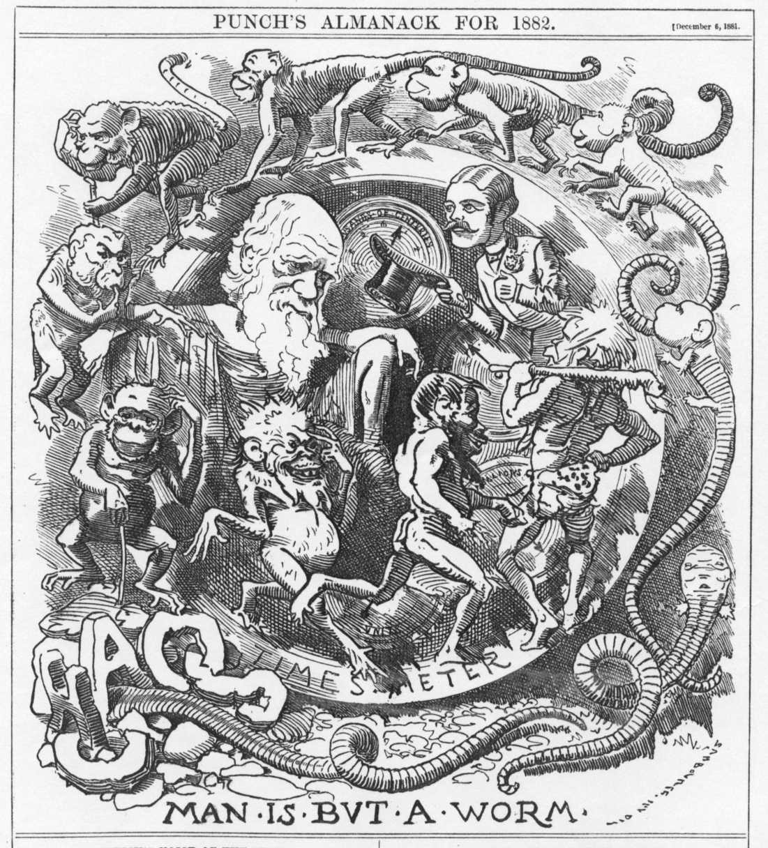 Caricature by Edward Linley Sambourne from Punch in 1882 titled “Man is but a Worm,” depicting human evolution, commencing with Chaos, through worm, monkey, culminating in Darwin himself.