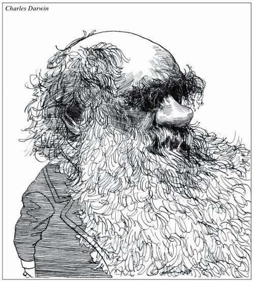 Caricature of Darwin by David Levine for The New York Review of Books