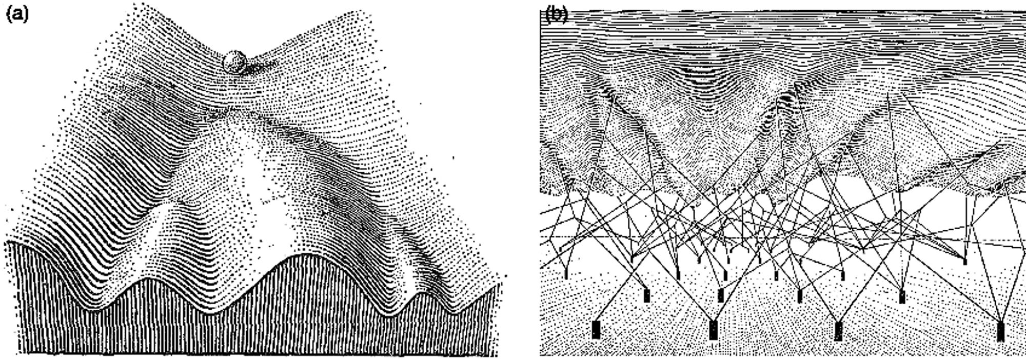 Conrad Hal Waddington’s diagrams of the epigenetic landscape