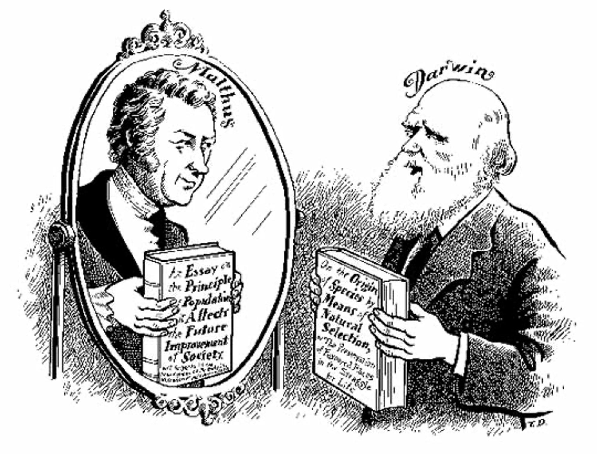 Cartoon of Darwin holding a copy of the Original, looking into a mirror and seeing as his reflection Malthus holding a copy off his Essay on the Principle of Population. By Tom Dunne for American Scientist.