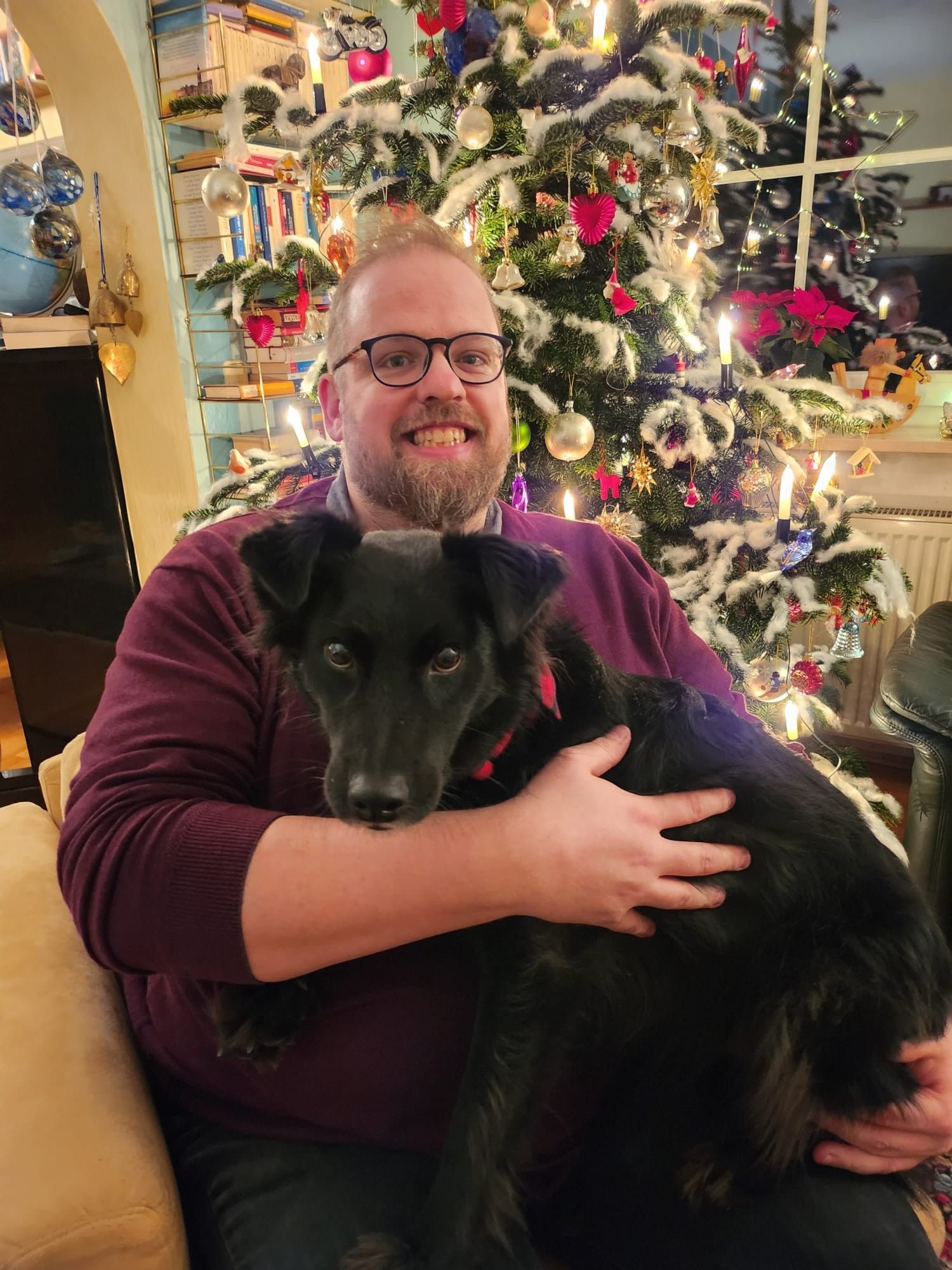 A man (Philipp) with a black dog on his lap in front of a christmas tree.