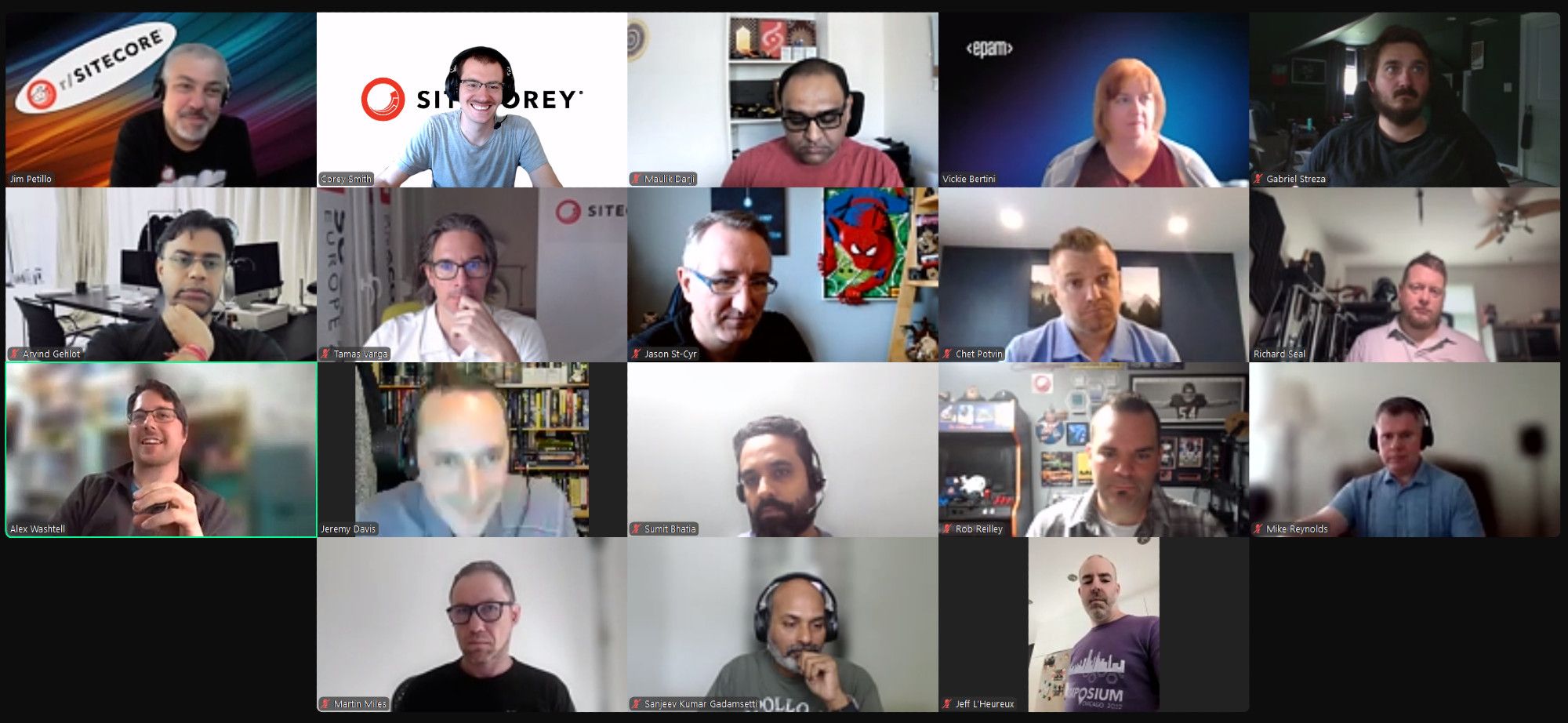 Screenshot of attendees on the July 12, 2024 #SitecoreLunch call.