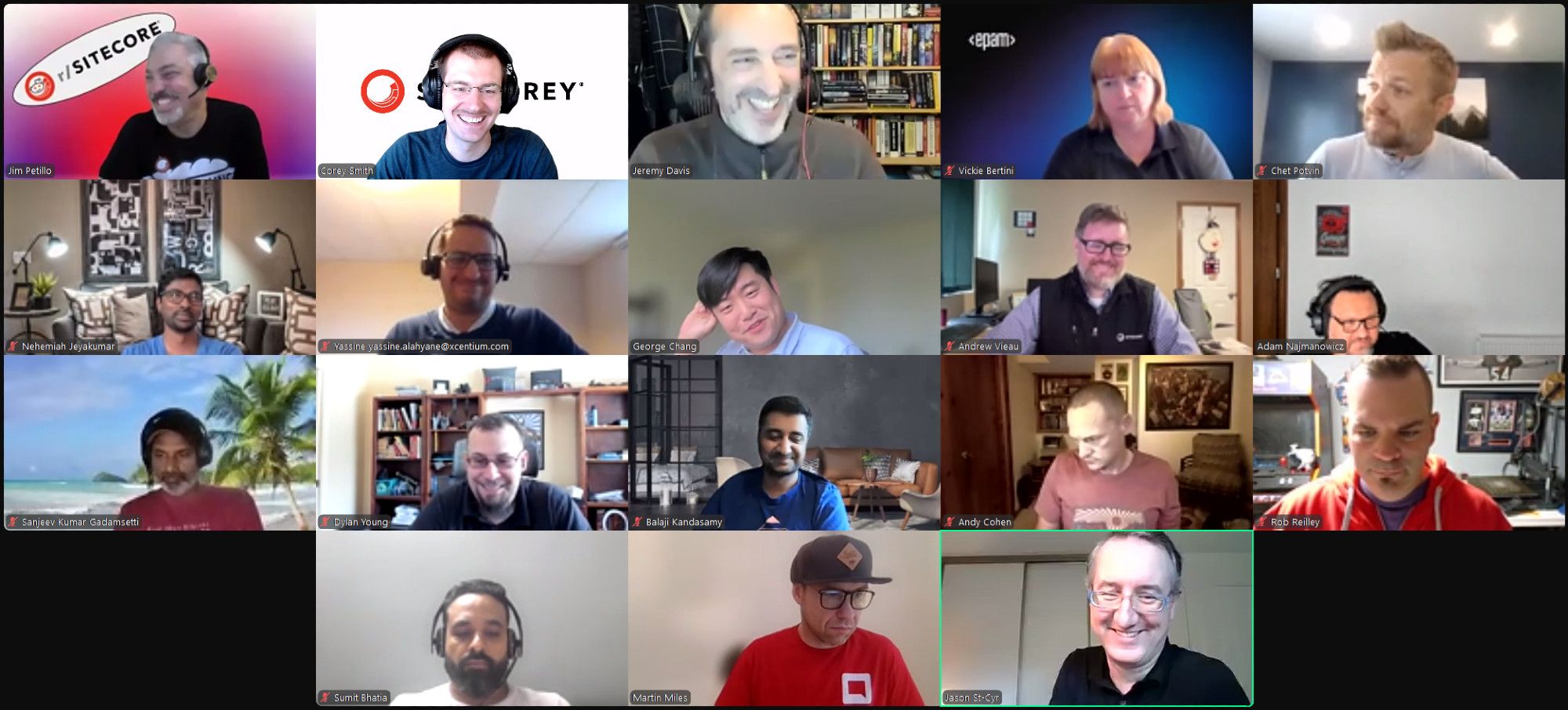 Screenshot of attendees on the August 23, 2024 #SitecoreLunch call.